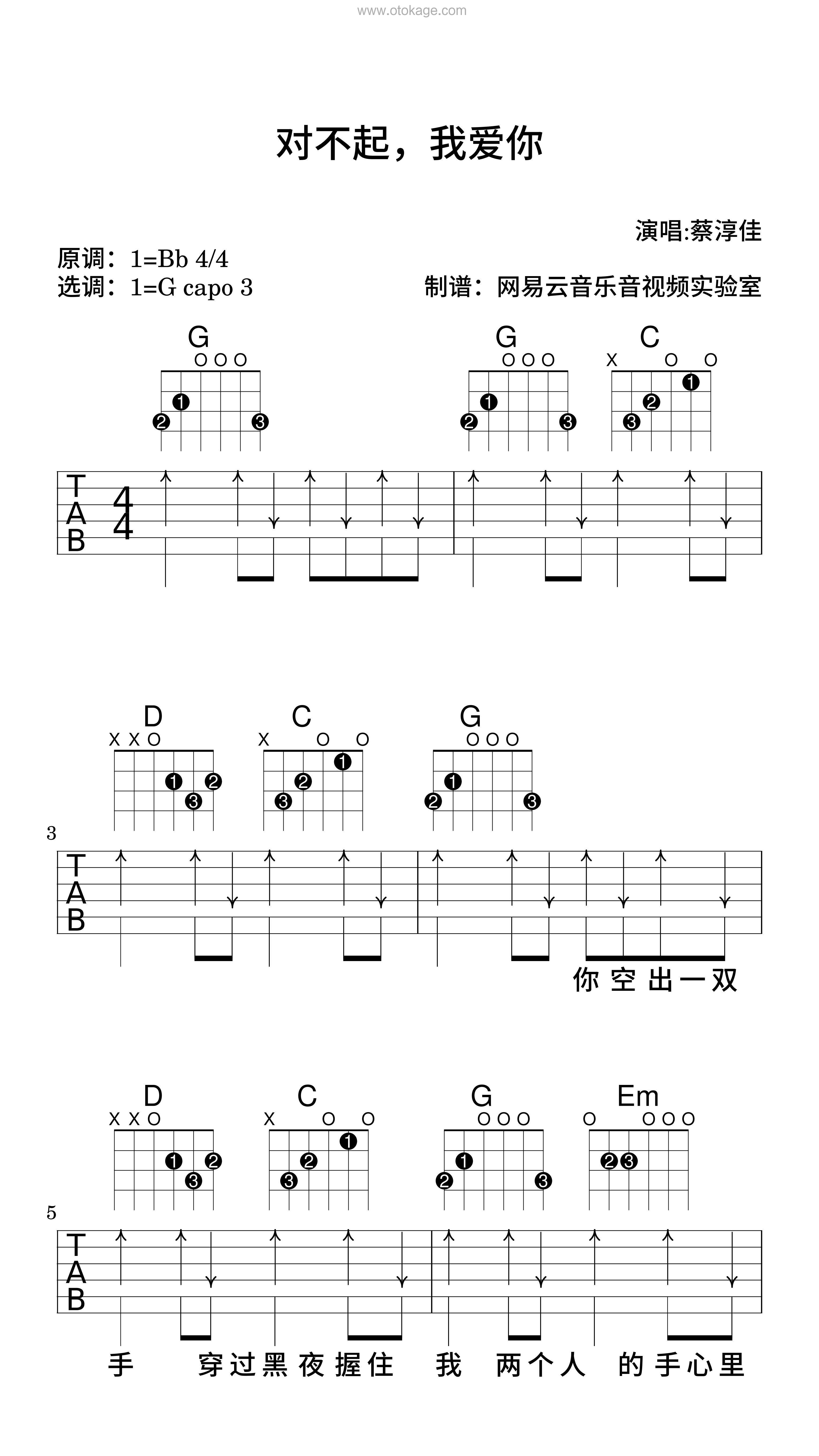 蔡淳佳《对不起，我爱你吉他谱》降B调_完美的音乐细节