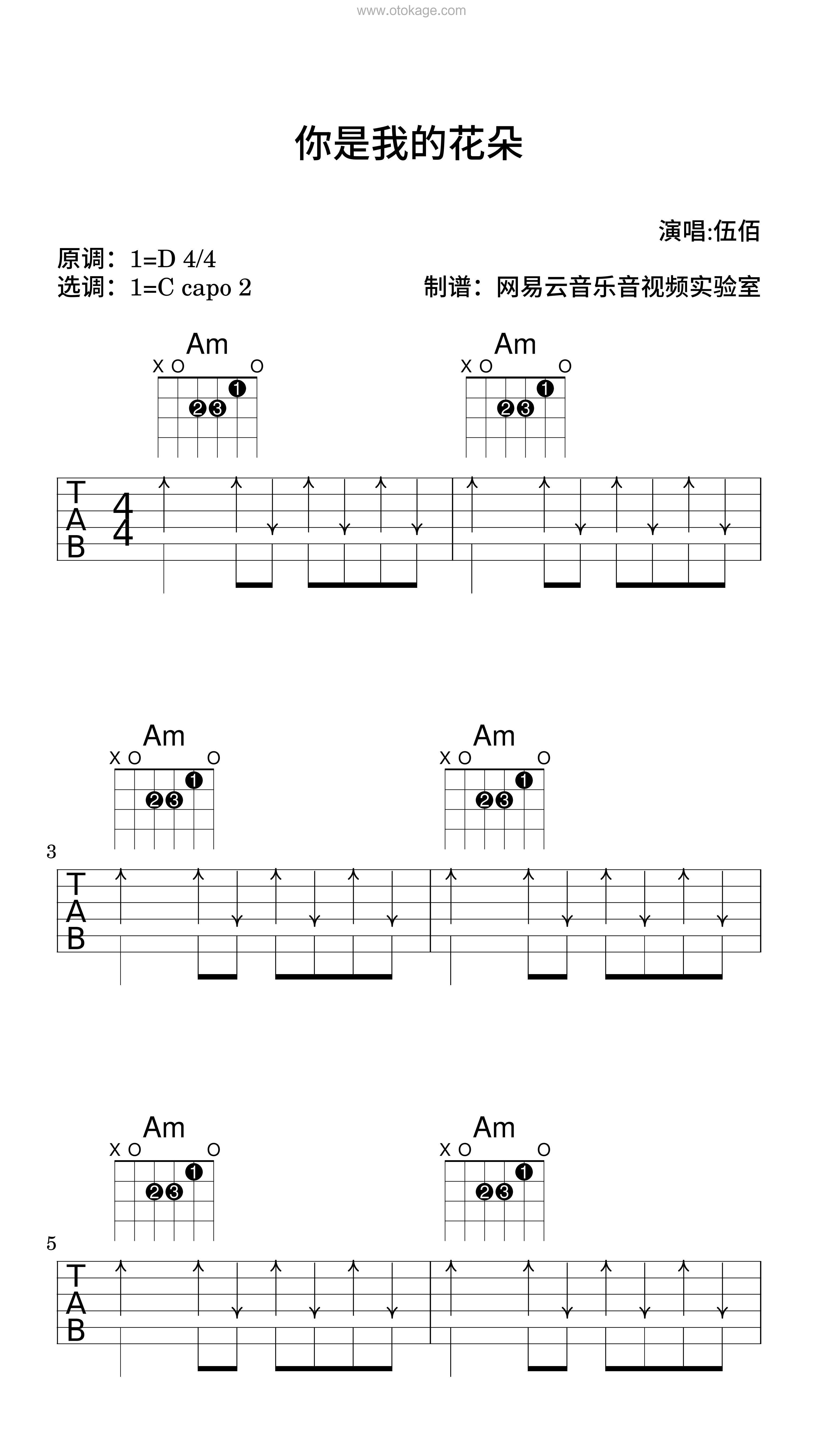 伍佰《你是我的花朵吉他谱》D调_旋律清新脱俗