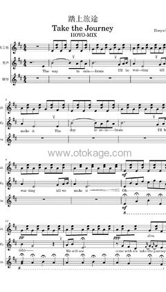 HOYO-MiX,Anthony Lynch《踏上旅途 Take the Journey吉他谱》升D调_旋律流畅自然