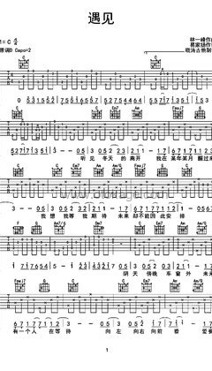 孙燕姿《遇见吉他谱》D调_完美节奏编排