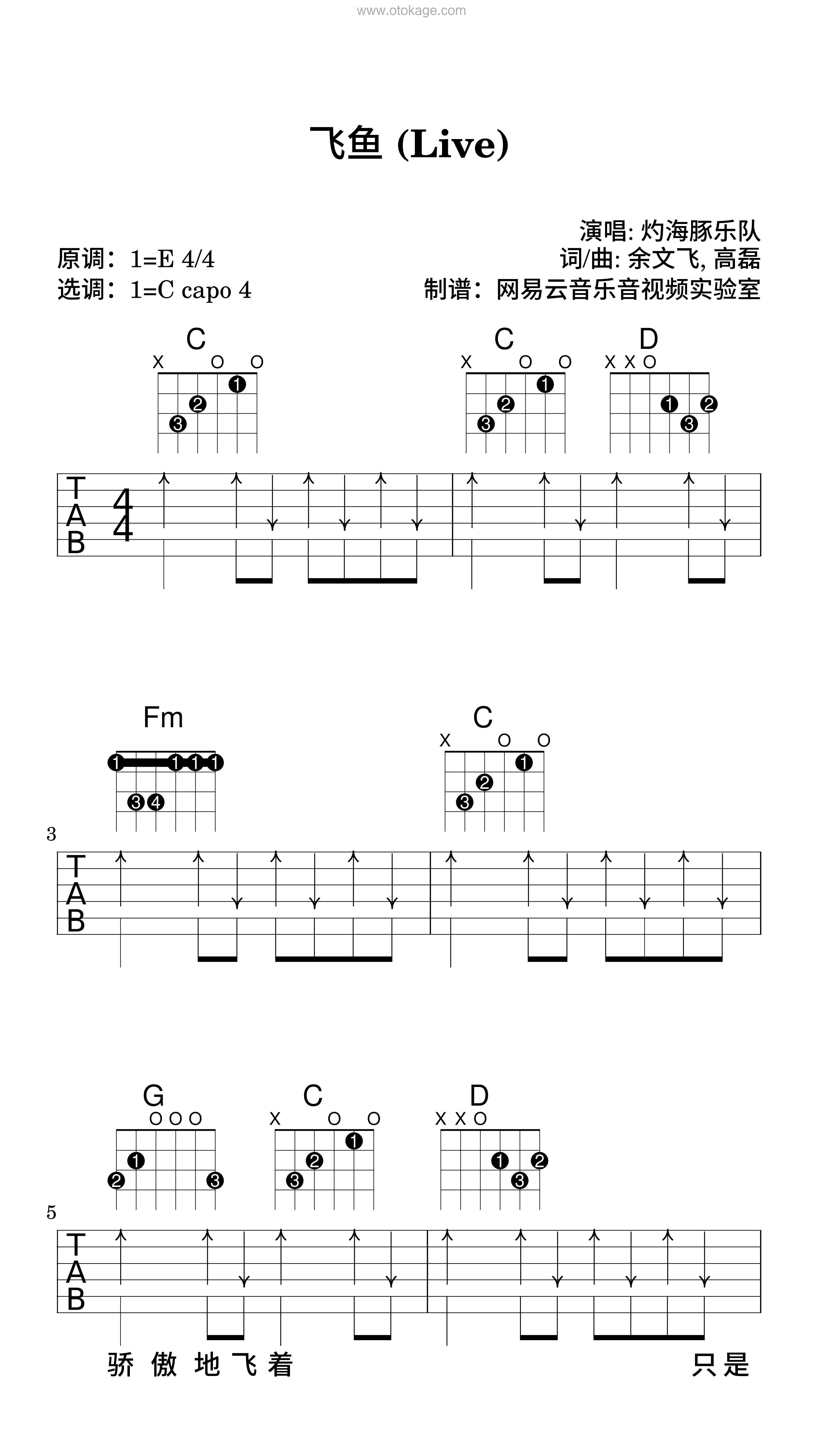 灼海豚乐队《飞鱼 (Live)吉他谱》E调_节奏舒缓而温柔