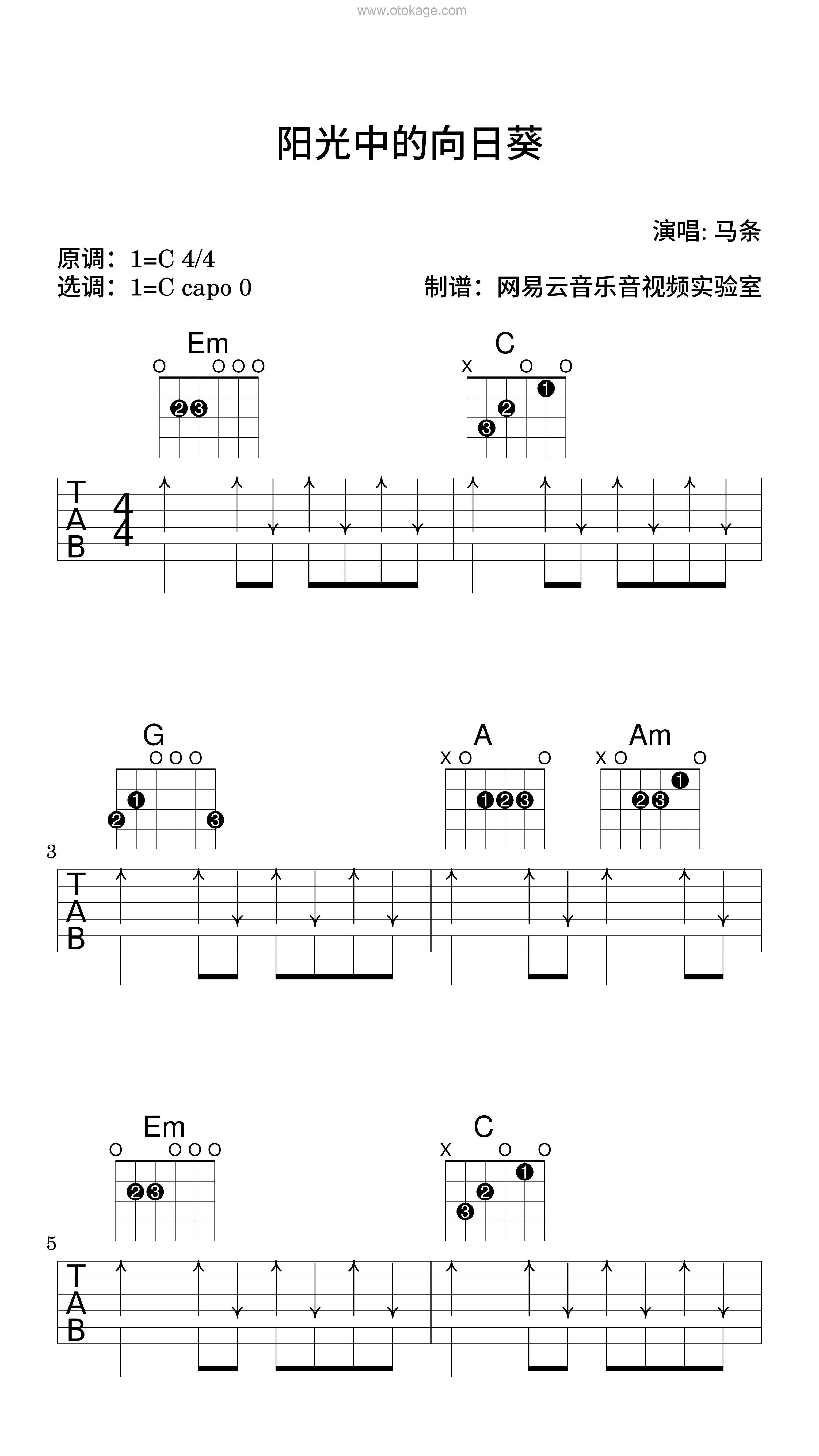 马条《阳光中的向日葵吉他谱》C调_旋律沁人心脾