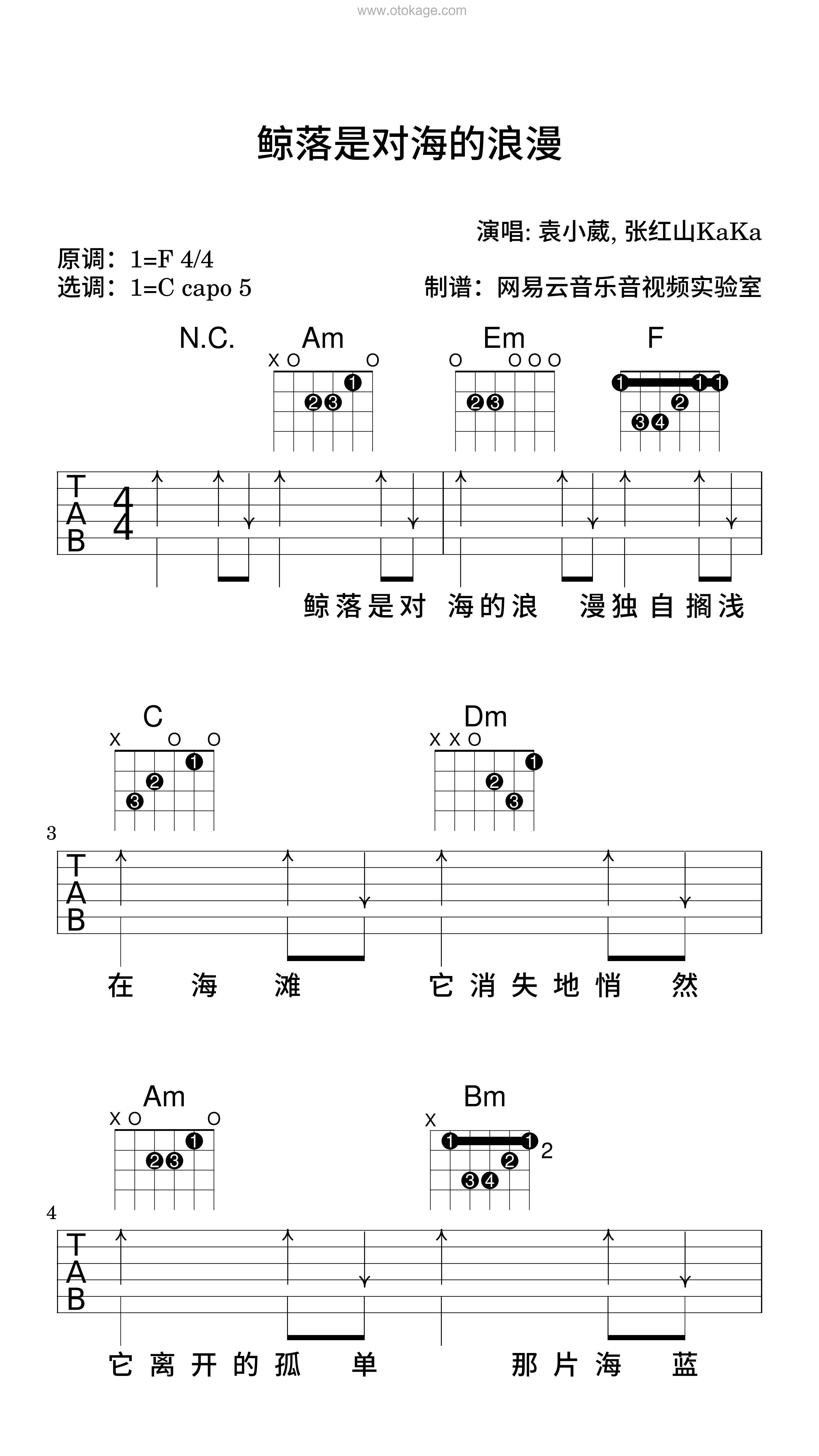 袁小葳,张红山KaKa《鲸落是对海的浪漫吉他谱》F调_打动人心的旋律