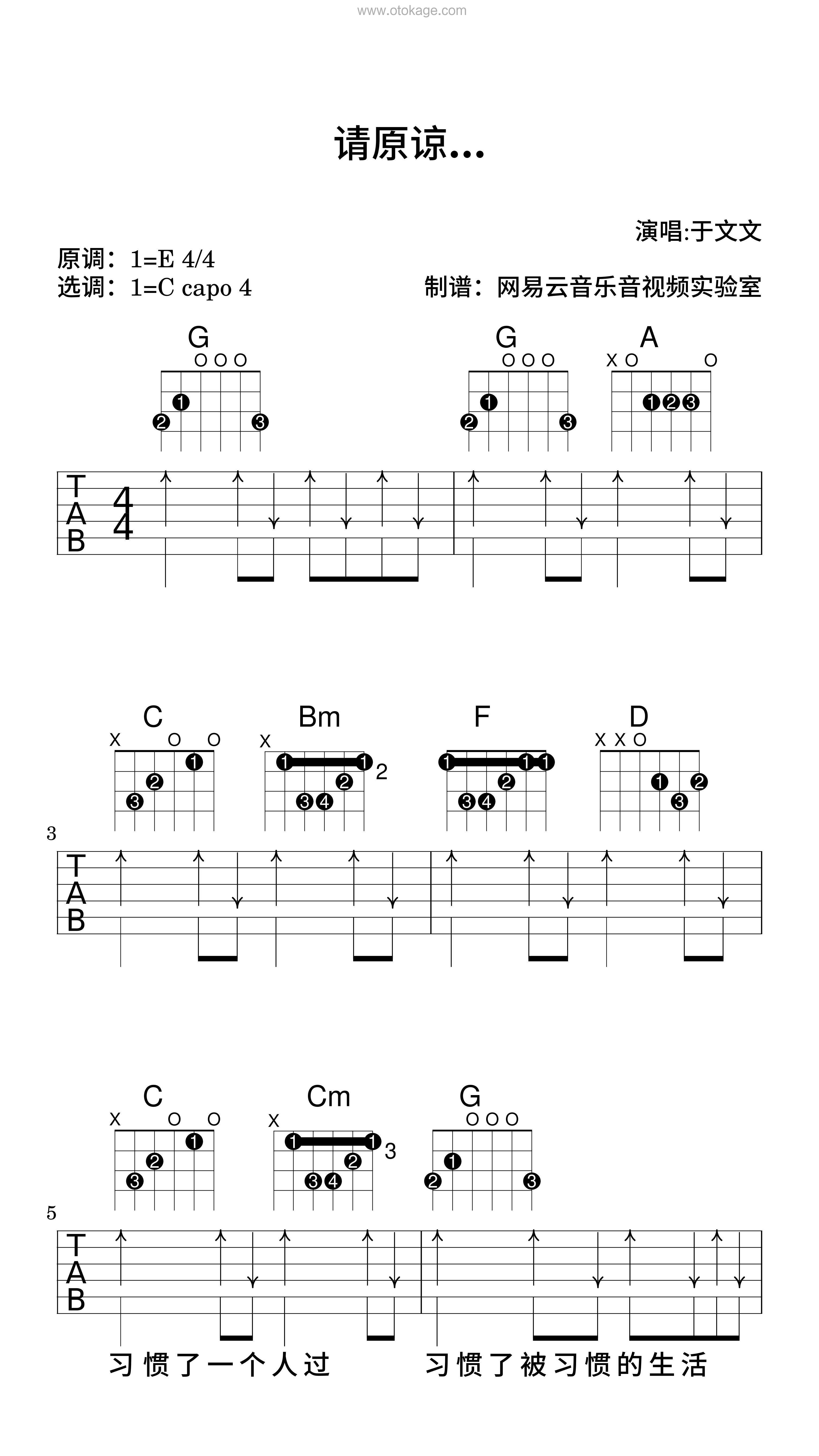 于文文《请原谅…吉他谱》E调_旋律优雅如梦