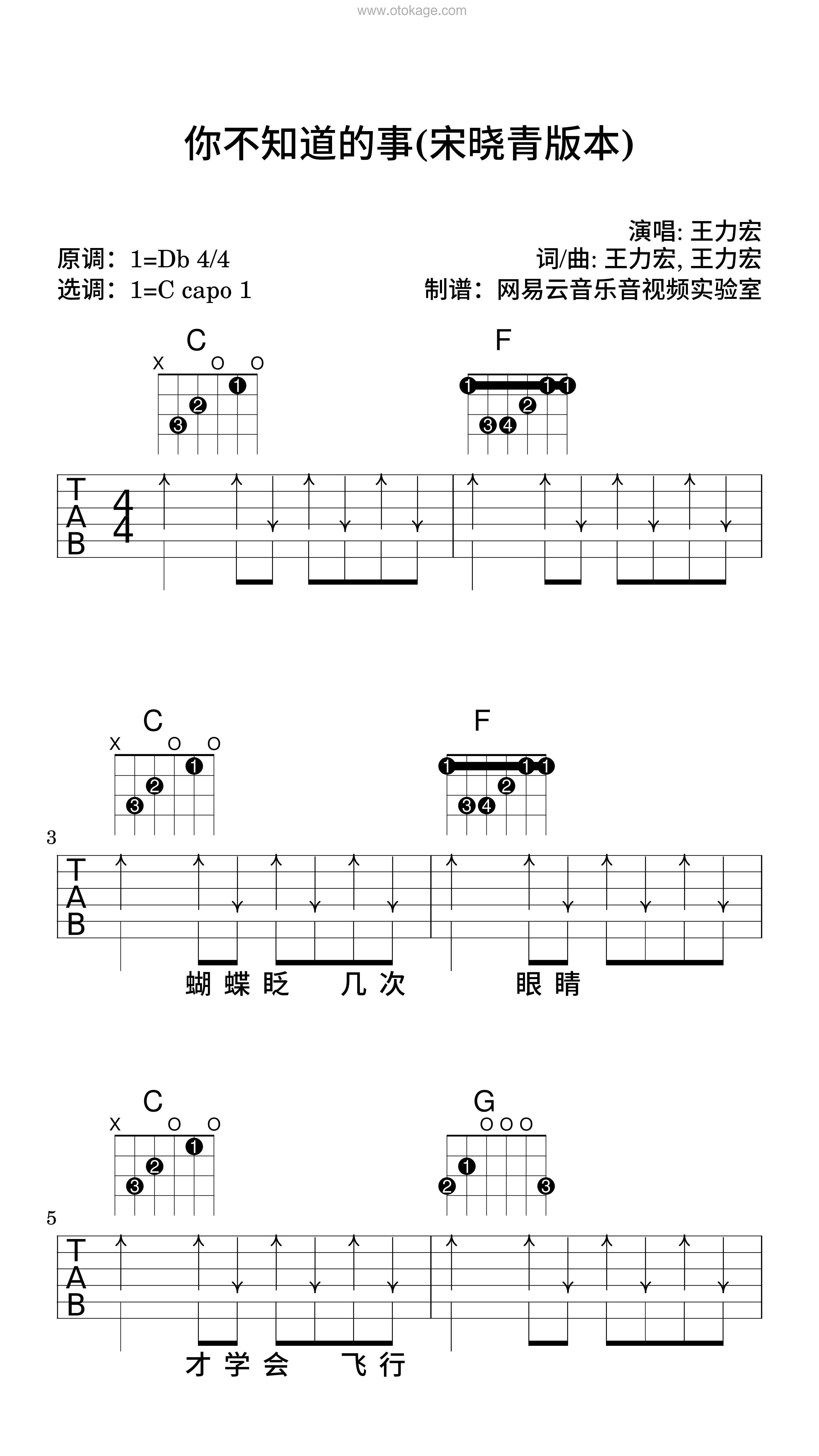 王力宏《你不知道的事(宋晓青版本)吉他谱》降D调_旋律丝滑流畅