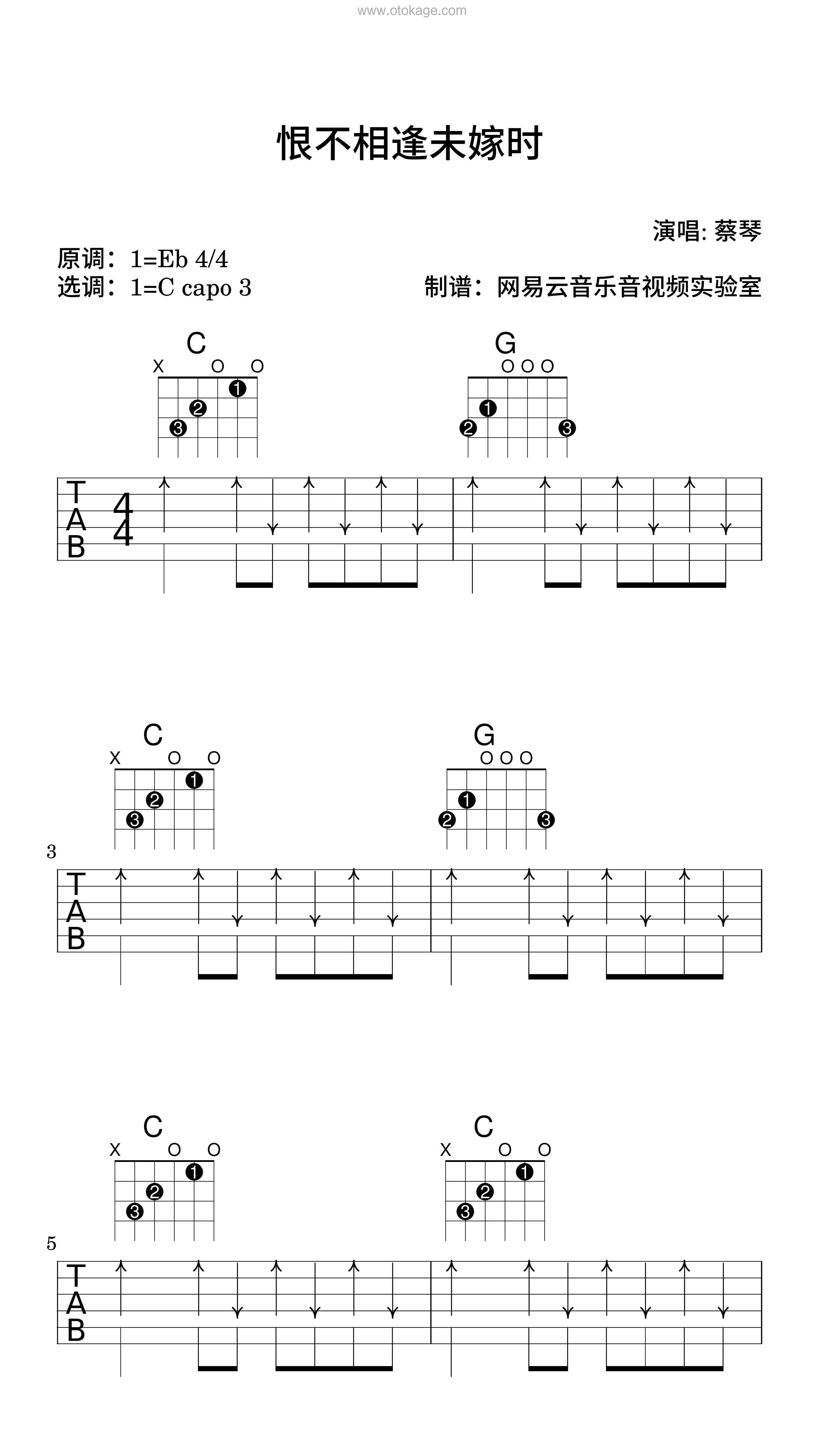 蔡琴《恨不相逢未嫁时吉他谱》降E调_完美的音乐细节