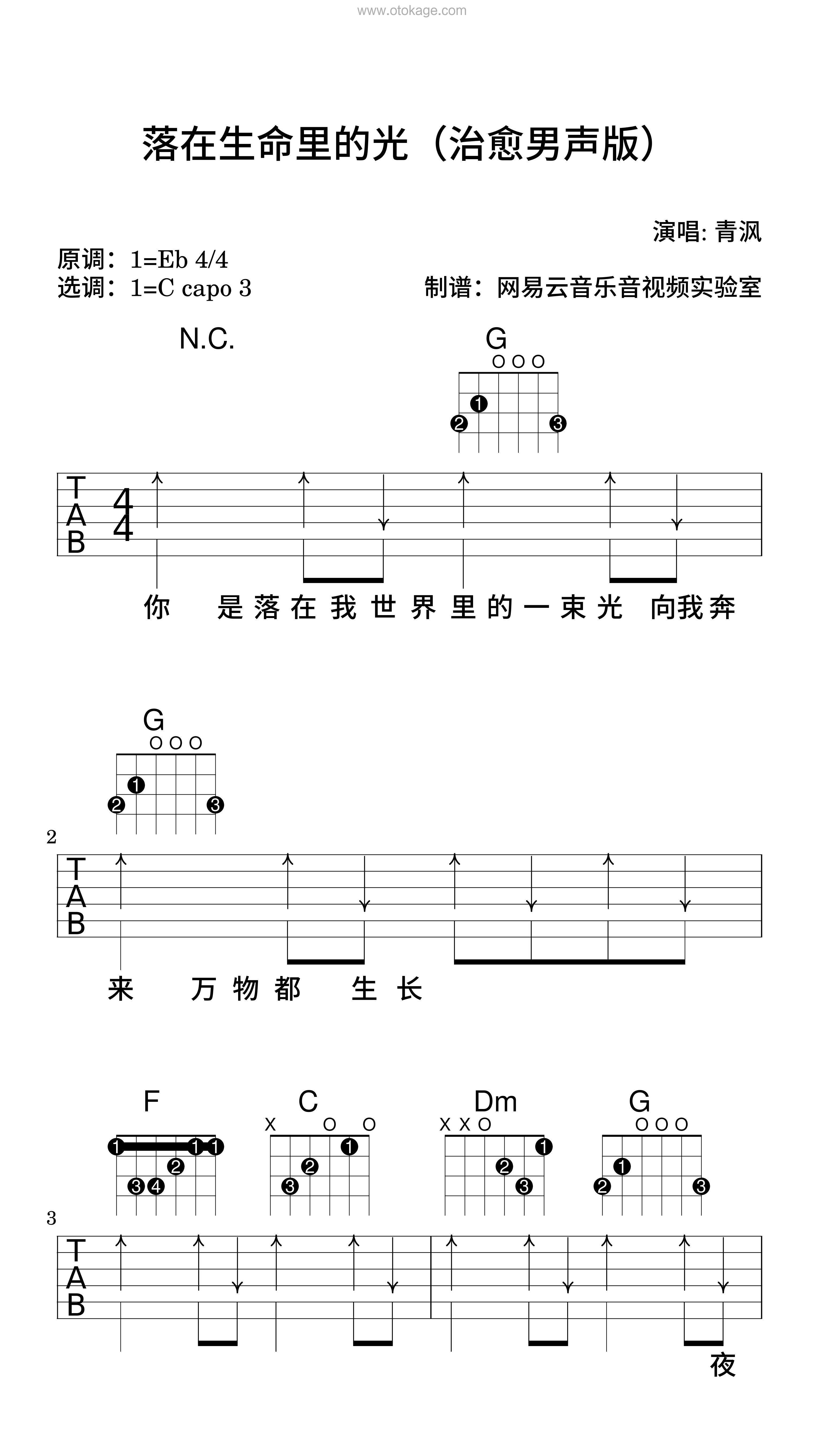 青沨《落在生命里的光（治愈男声版）吉他谱》降E调_节奏节节升高