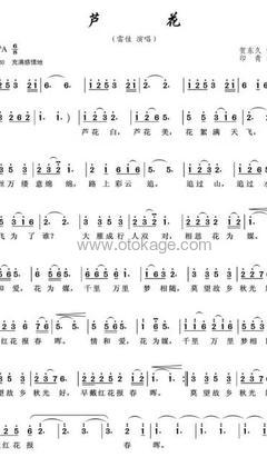 雷佳《芦花人声谱》降A调_编曲简洁动人
