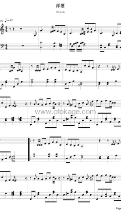 杨宗纬《洋葱钢琴谱》C调_旋律深情流畅