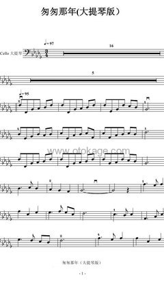 王菲《匆匆那年大提琴谱》降D调_旋律感人肺腑