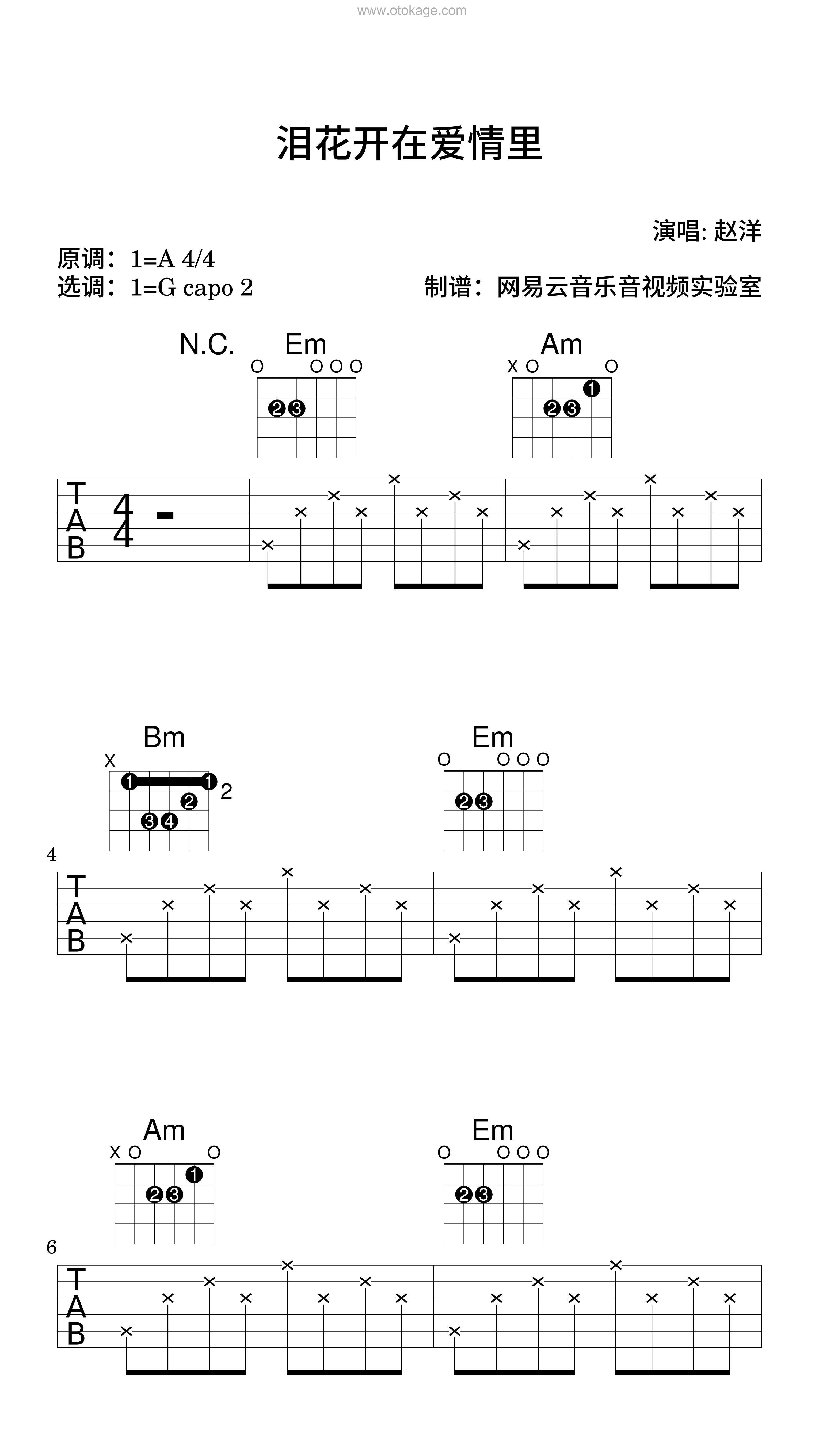 赵洋《泪花开在爱情里吉他谱》A调_旋律优美流畅