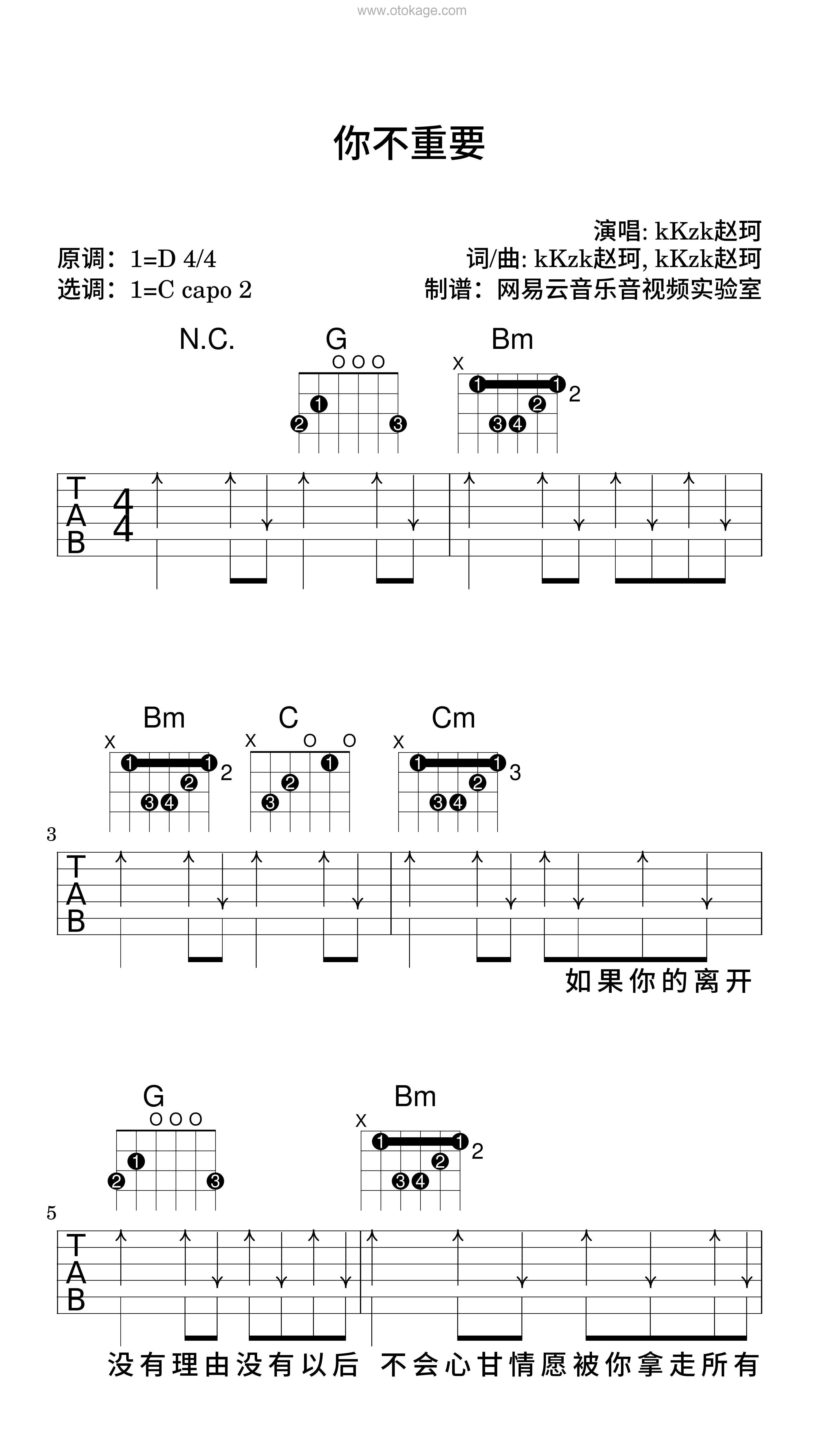 kKzk赵珂《你不重要吉他谱》D调_旋律优雅如梦