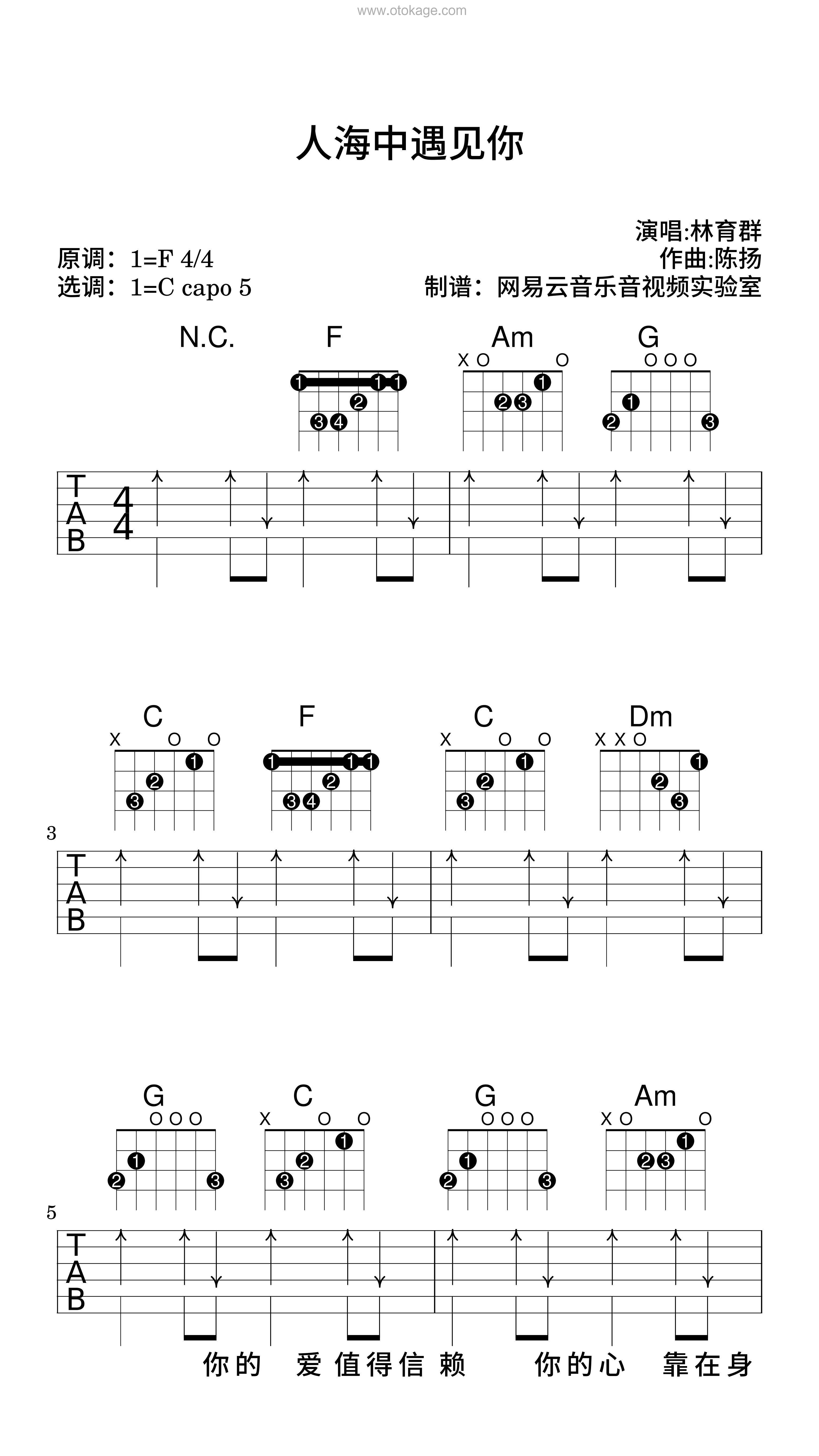 林育群《人海中遇见你吉他谱》F调_完美节奏编排