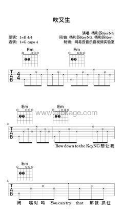 杨和苏KeyNG《吹又生吉他谱》B调_音色柔和迷人