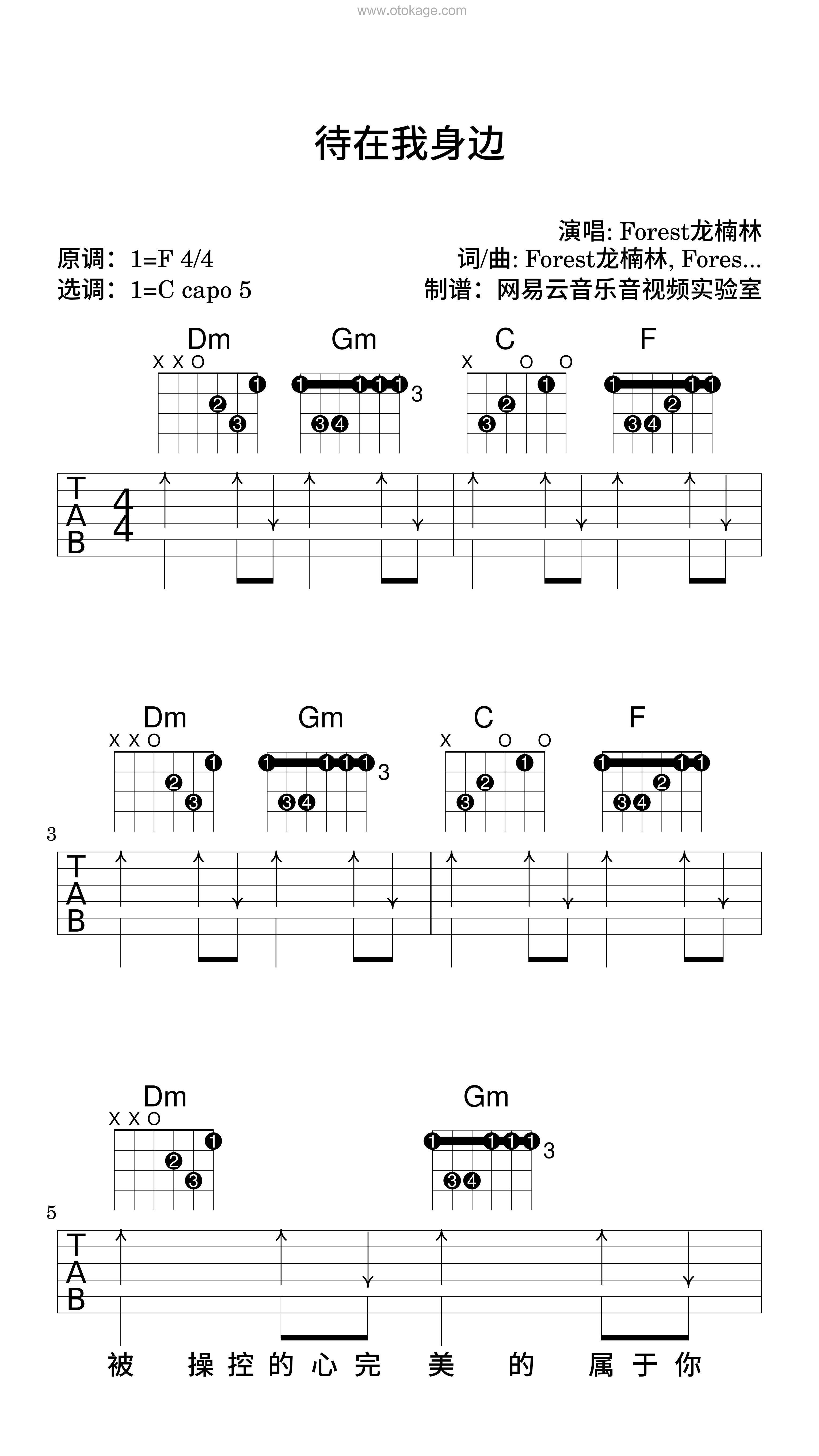 Forest龙楠林《待在我身边吉他谱》F调_旋律深刻动人