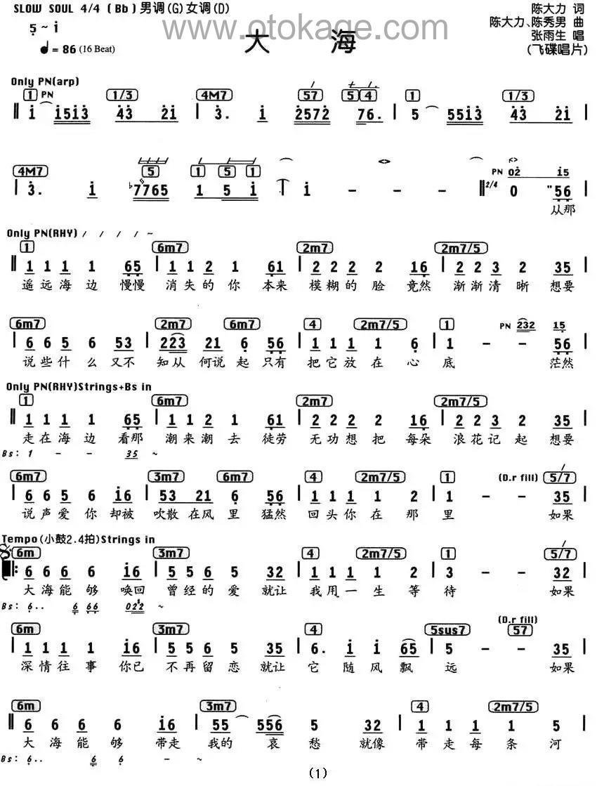 张雨生《大海人声谱》降B调_节奏轻柔优美