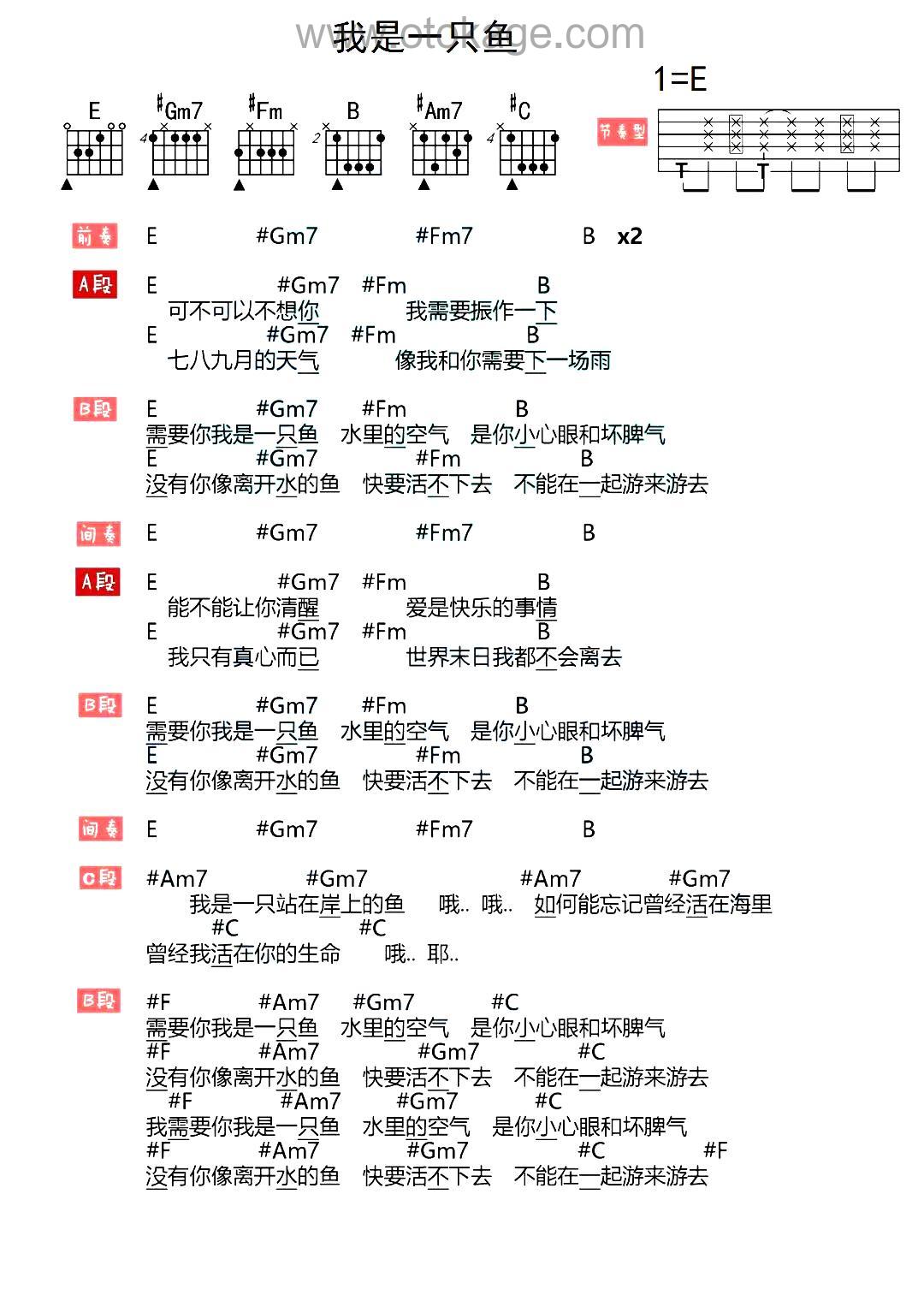 落日飞车《我是一只鱼吉他谱》E调_编曲简洁动人