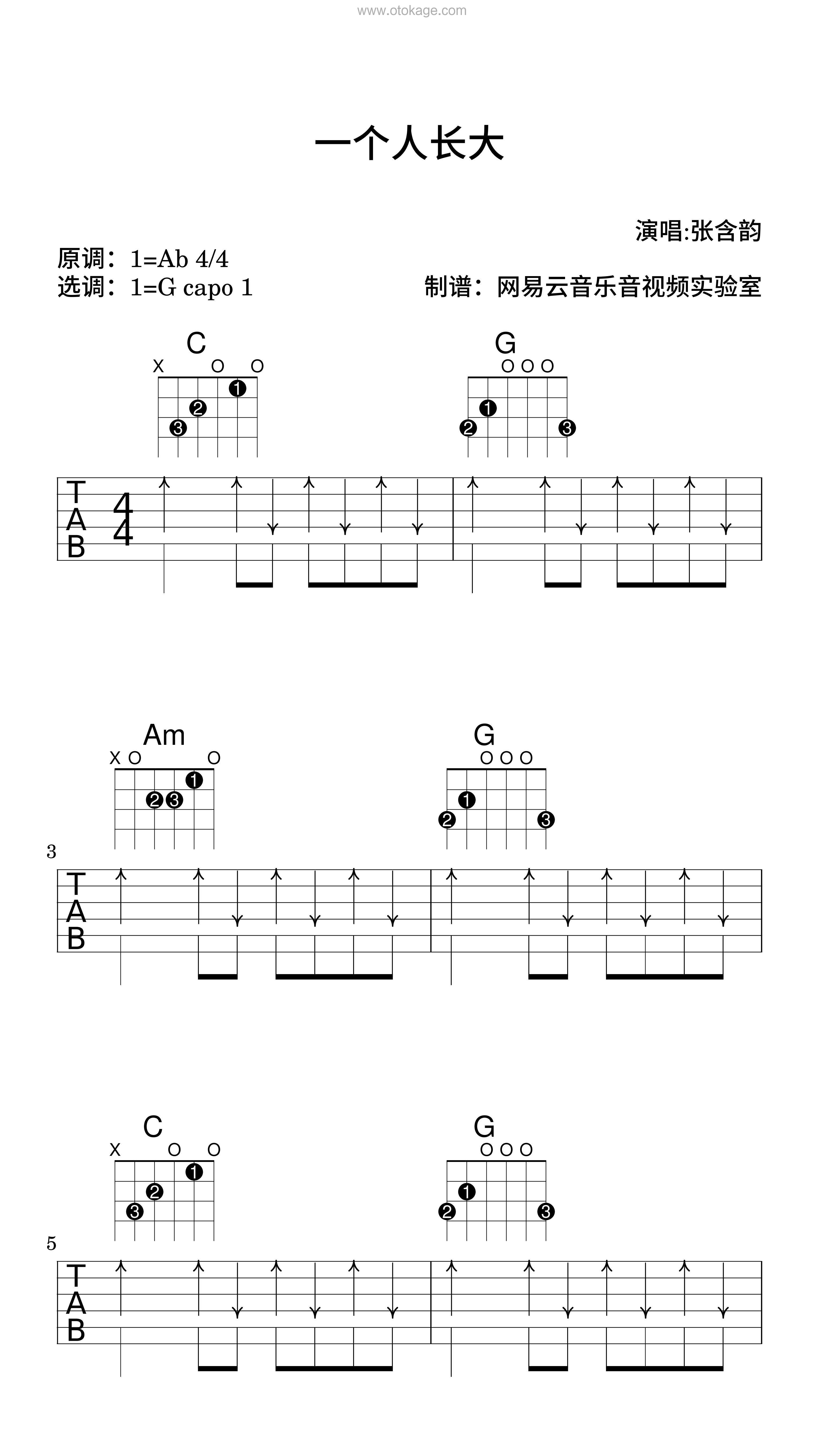 张含韵《一个人长大吉他谱》降A调_节奏与情感交融