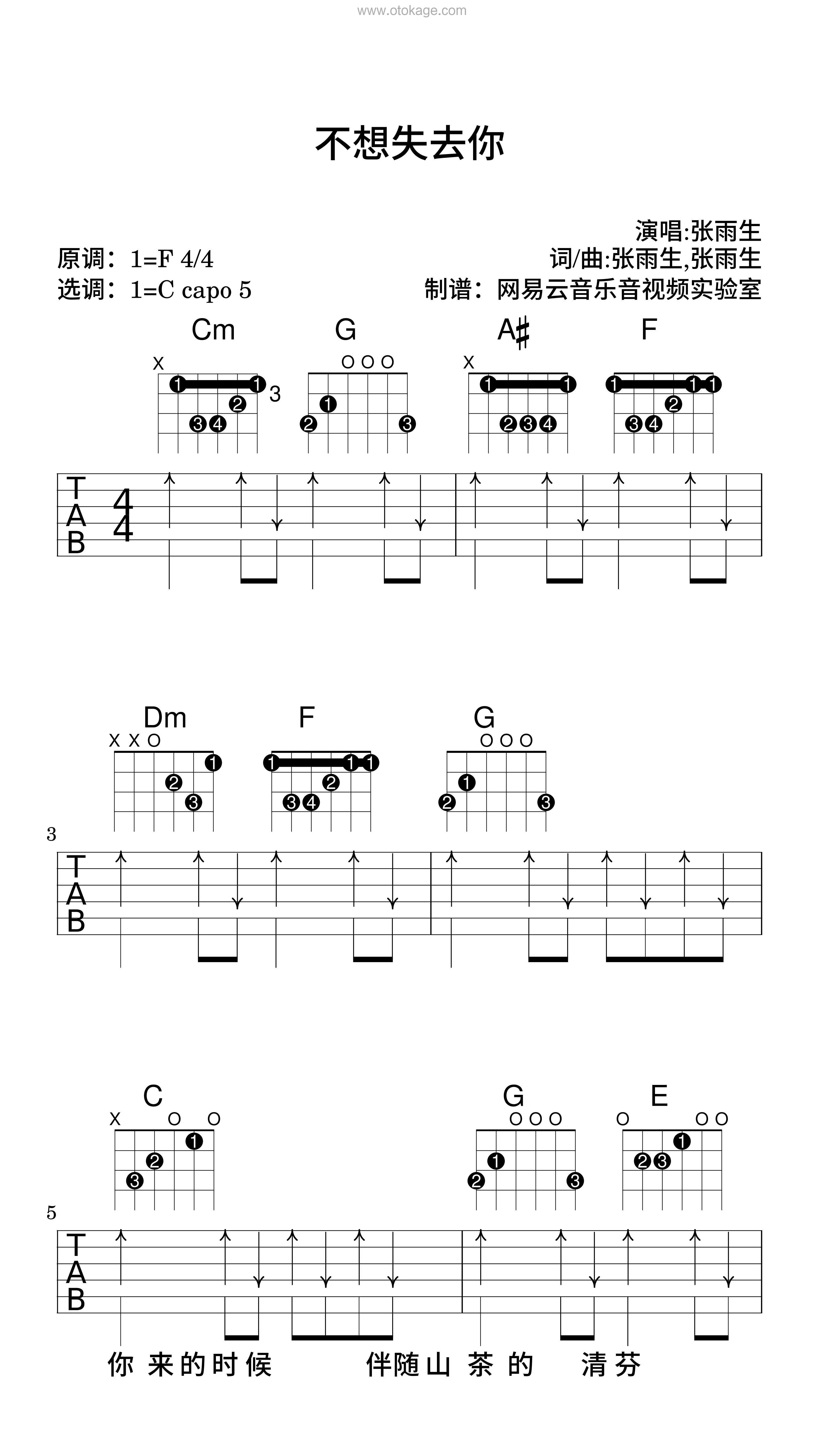 张雨生《不想失去你吉他谱》F调_完美融合情感