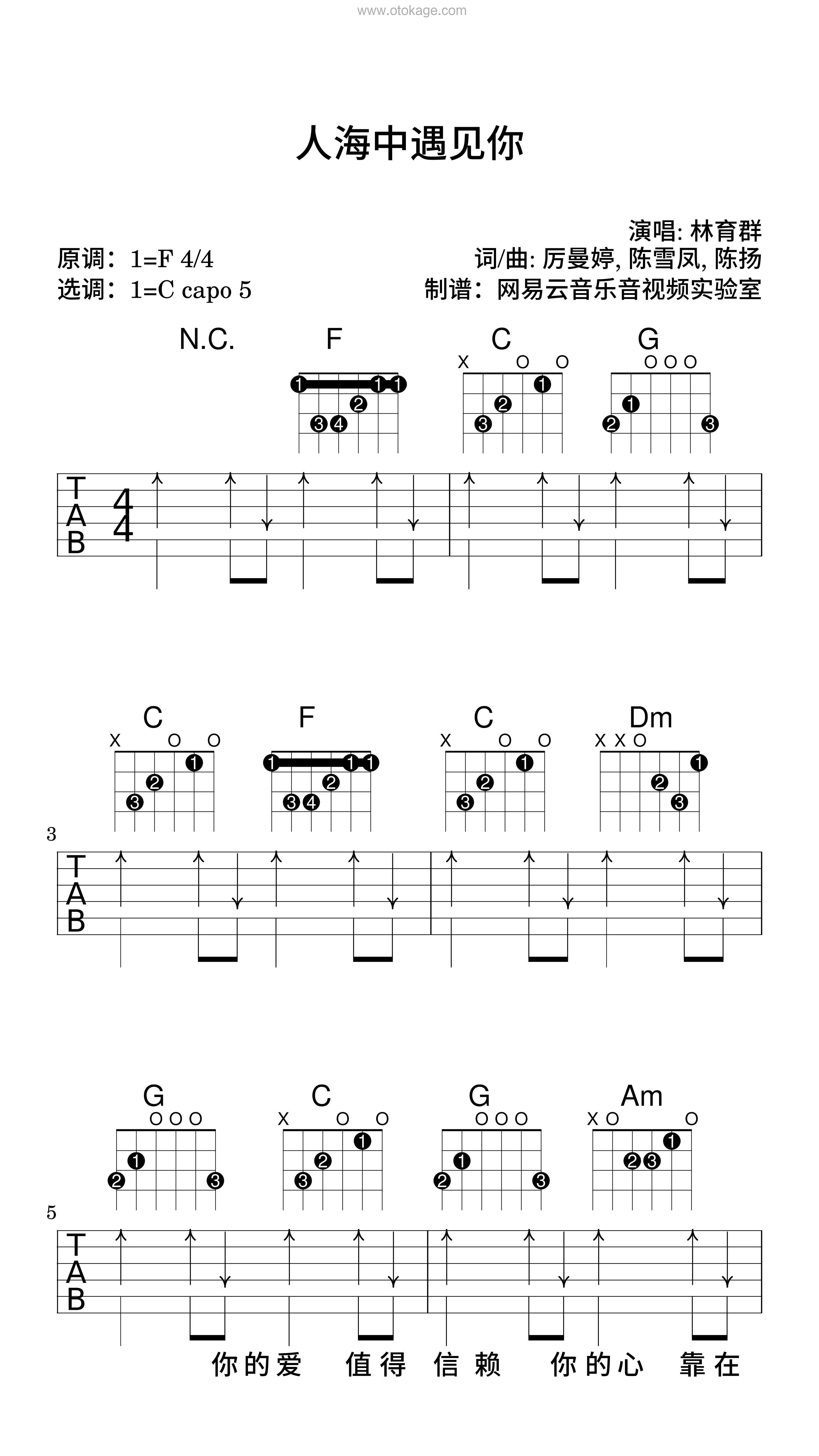 林育群《人海中遇见你吉他谱》F调_完美旋律设计