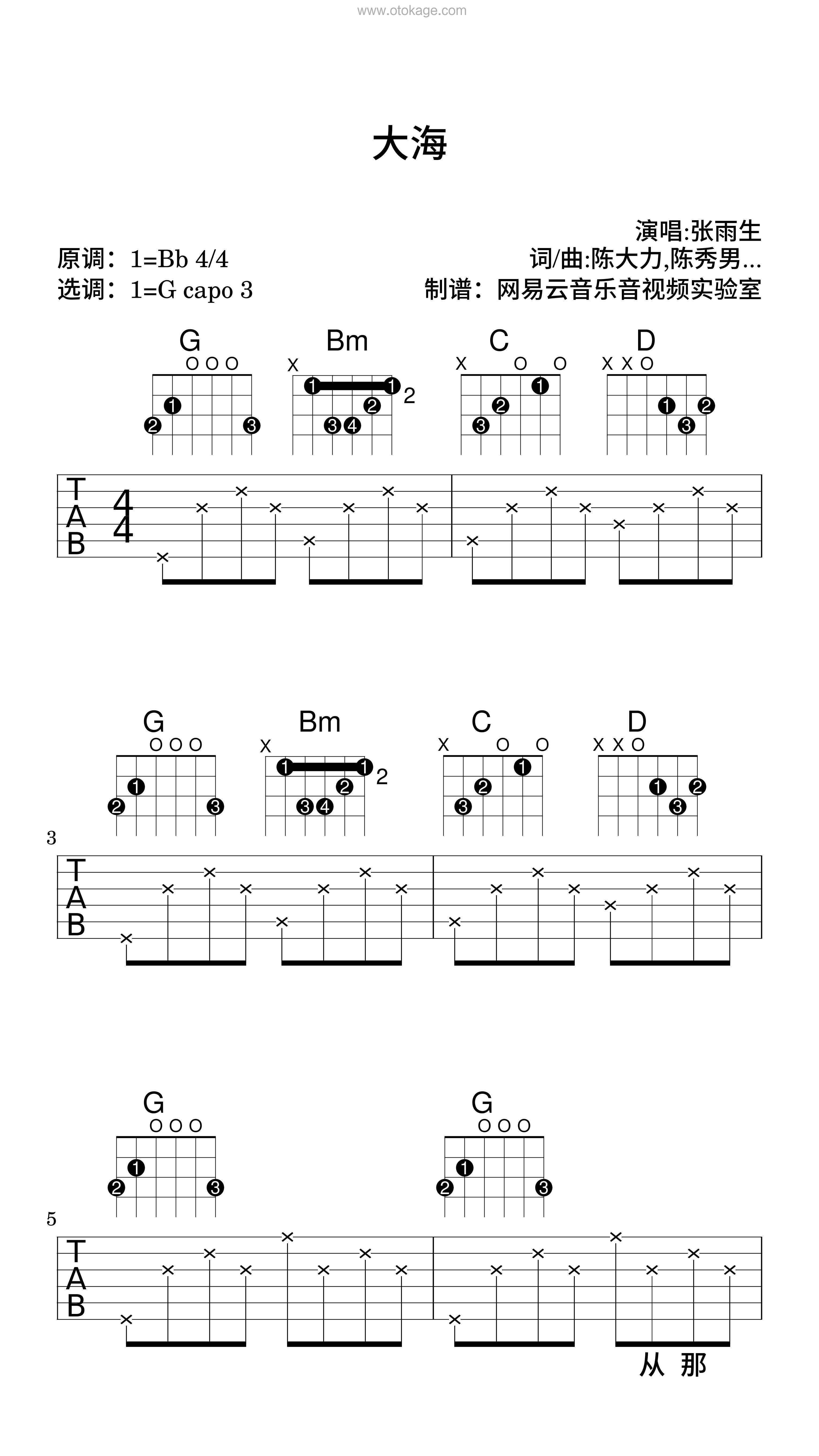 张雨生《大海吉他谱》降B调_编配精致感人