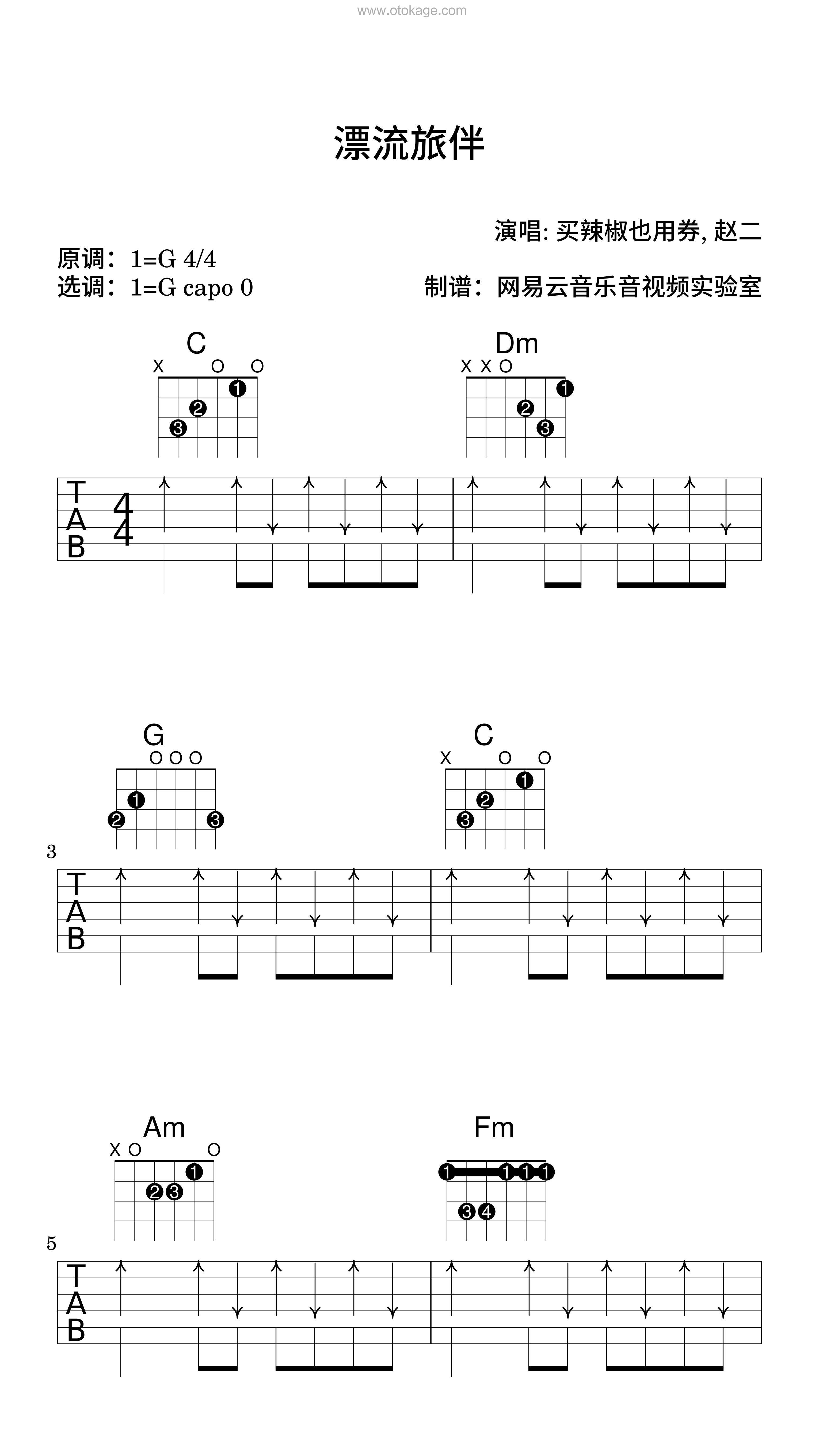 买辣椒也用券,赵二《漂流旅伴吉他谱》G调_旋律轻松愉快