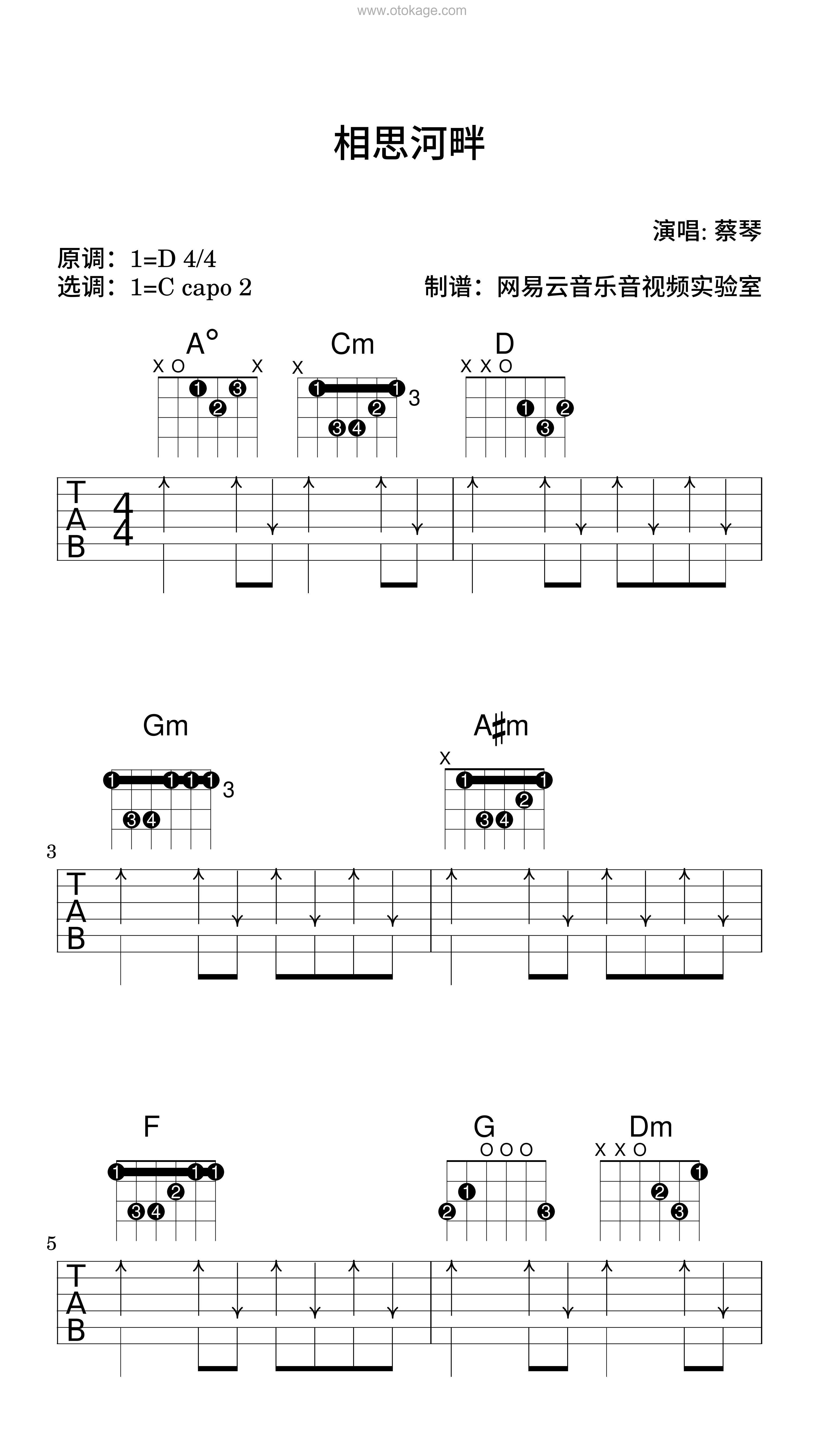 蔡琴《相思河畔吉他谱》D调_旋律丝滑流畅