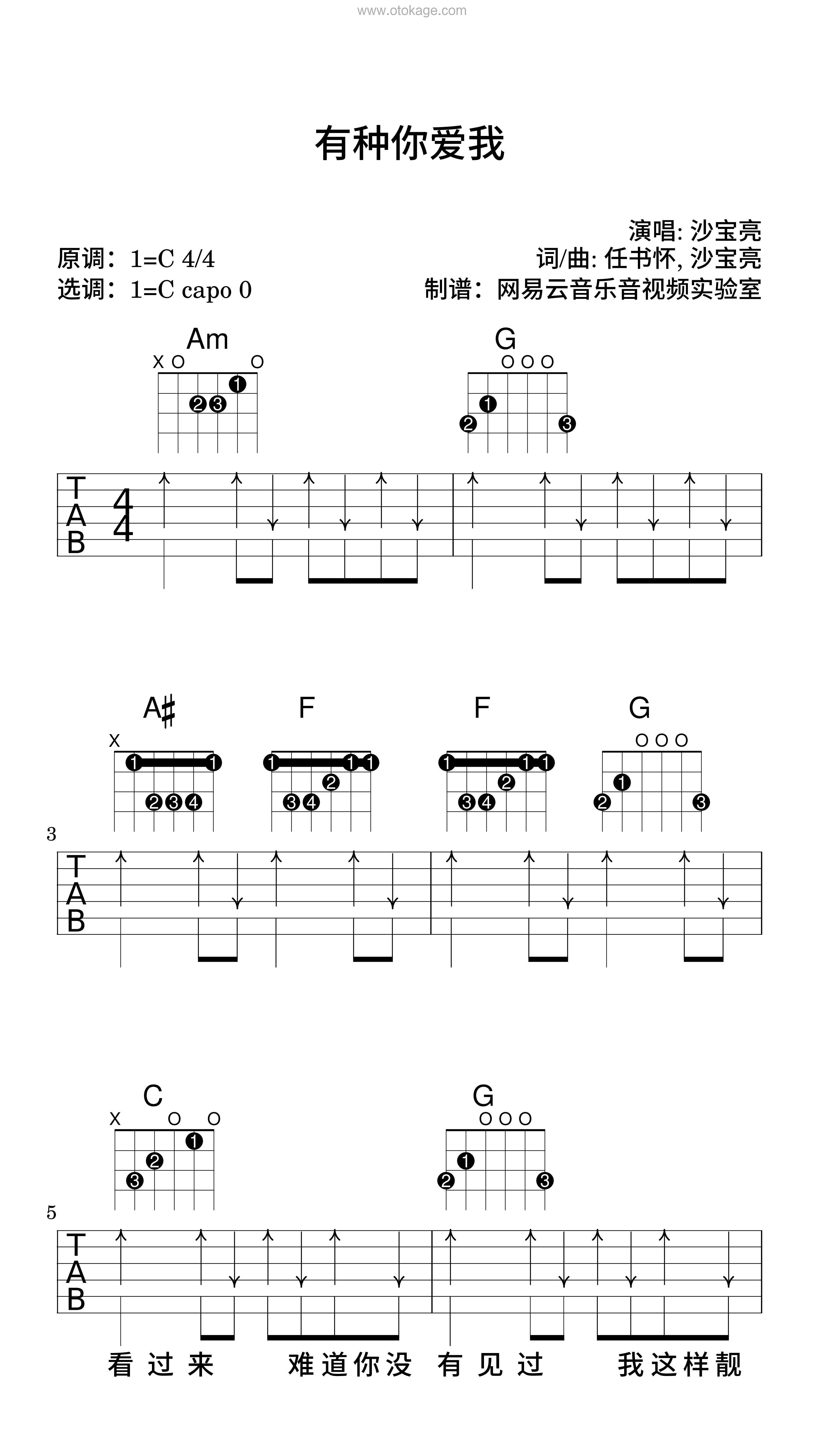 沙宝亮《有种你爱我吉他谱》C调_完美旋律设计