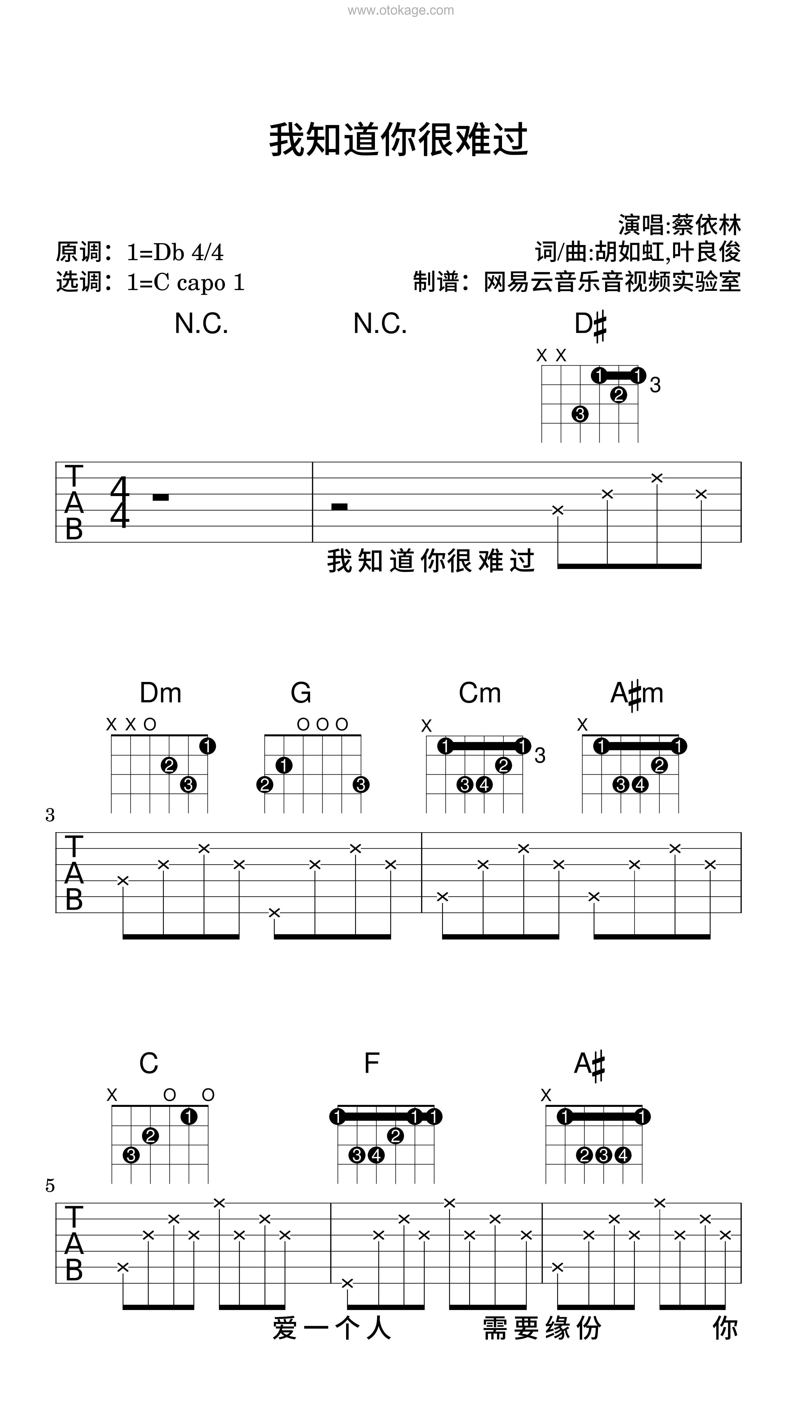 蔡依林《我知道你很难过吉他谱》降D调_完美旋律设计