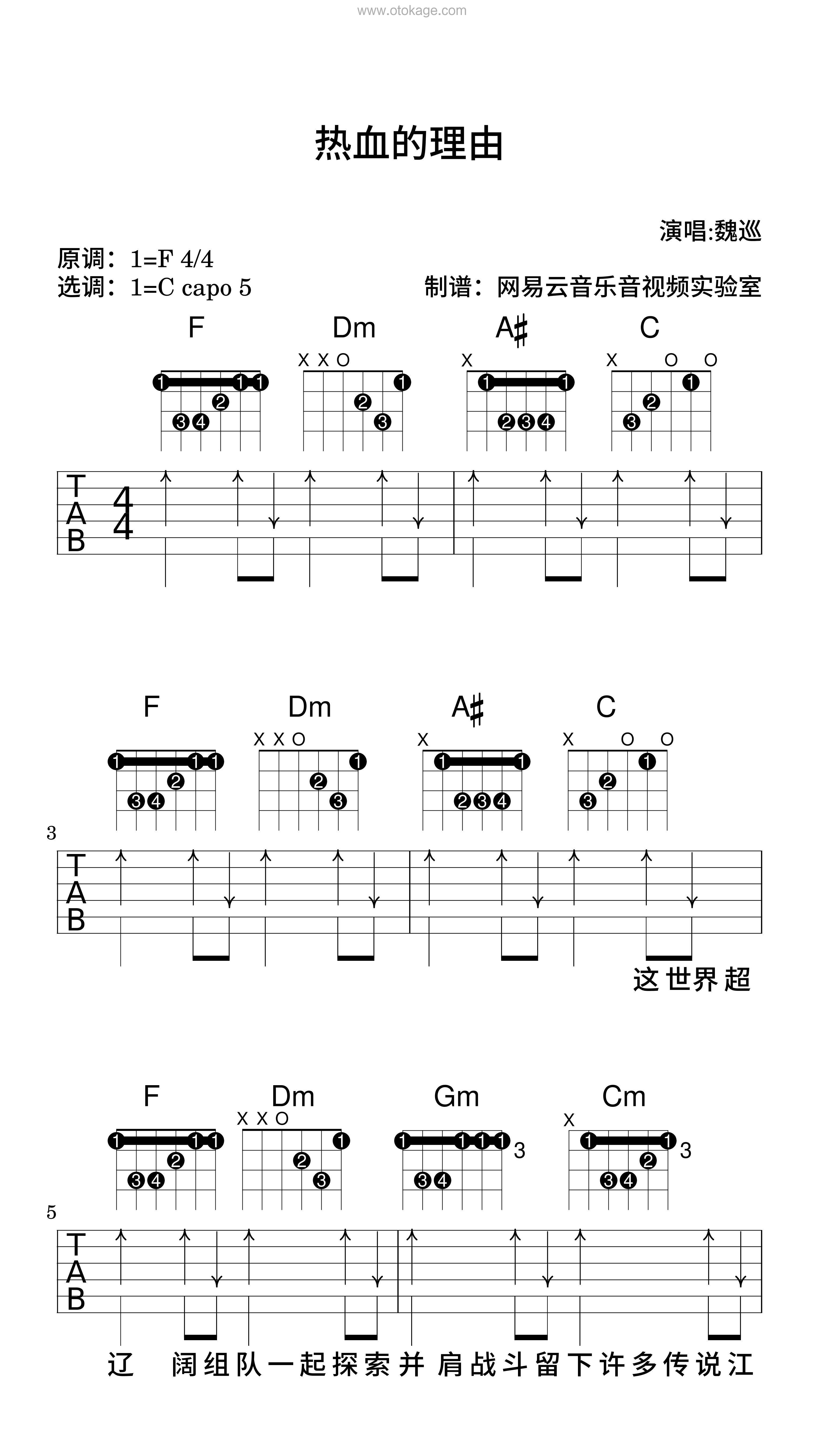 魏巡《热血的理由吉他谱》F调_音符纯净如水