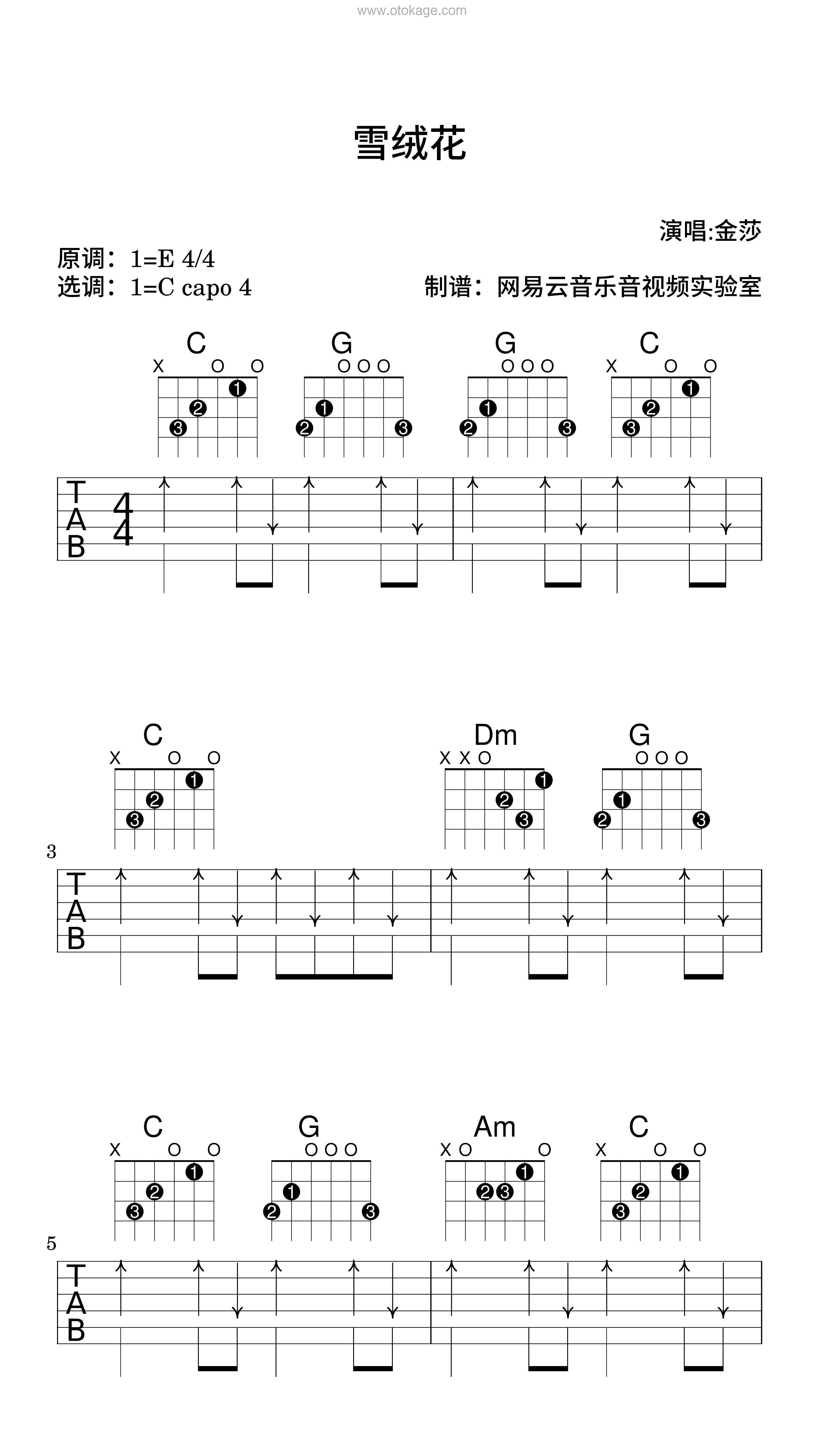 金莎《雪绒花吉他谱》E调_节奏充满活力