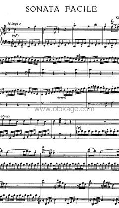 郎朗《Piano Sonata No. 16 in C Major, K. 545 "Sonata facile":I. Allegro钢琴谱》C调_旋律感人肺腑