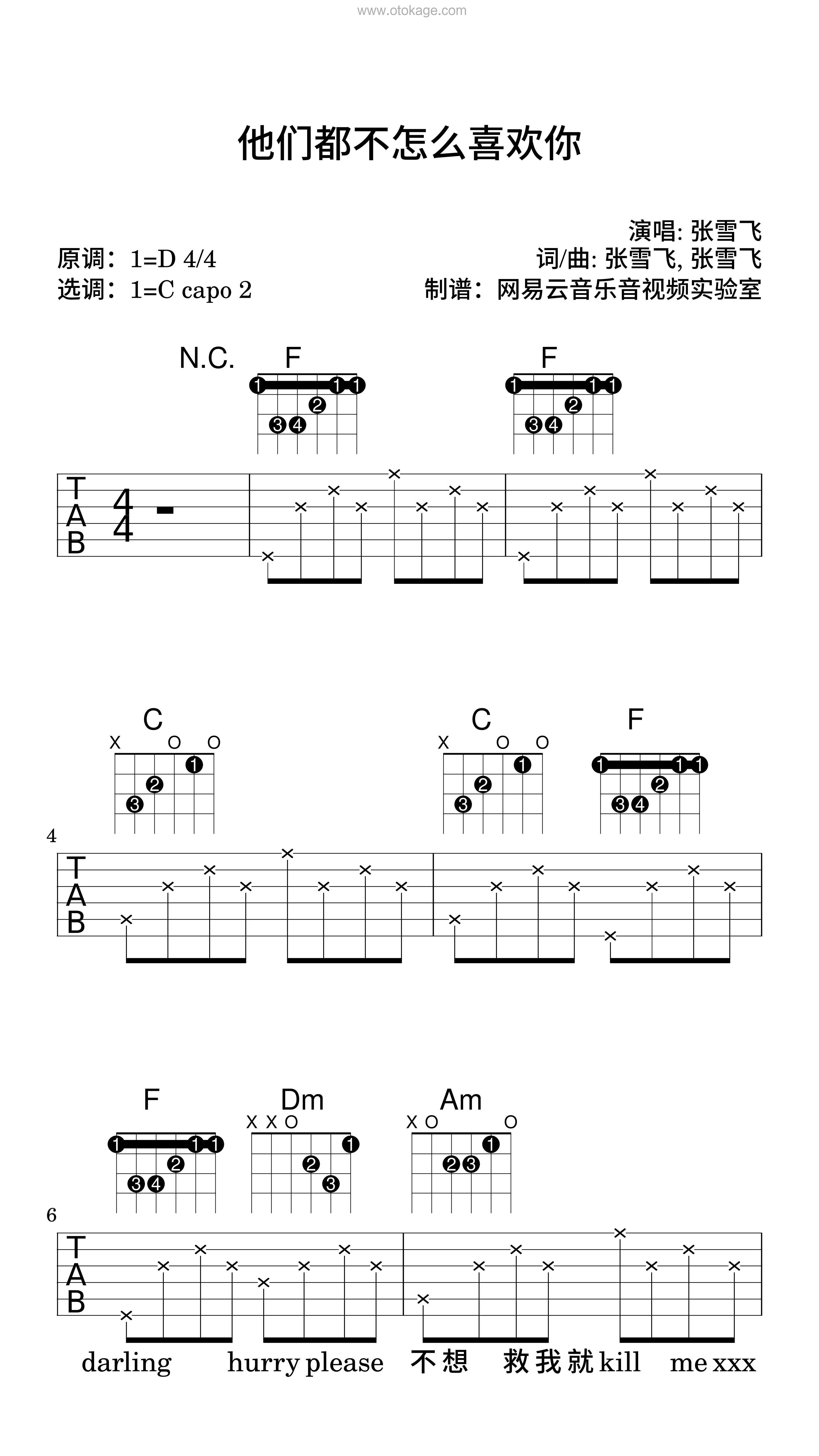 张雪飞《他们都不怎么喜欢你吉他谱》D调_旋律沁人心脾