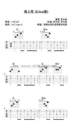 罗大佑《海上花 (Live版)吉他谱》D调_完美平衡的音调