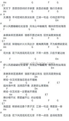 任贤齐《花太香吉他谱》C调_音乐编排细腻