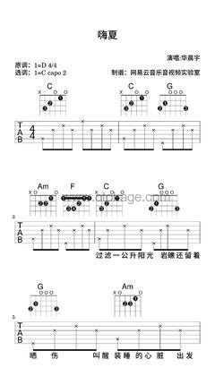 华晨宇《嗨夏吉他谱》D调_节奏优美迷人