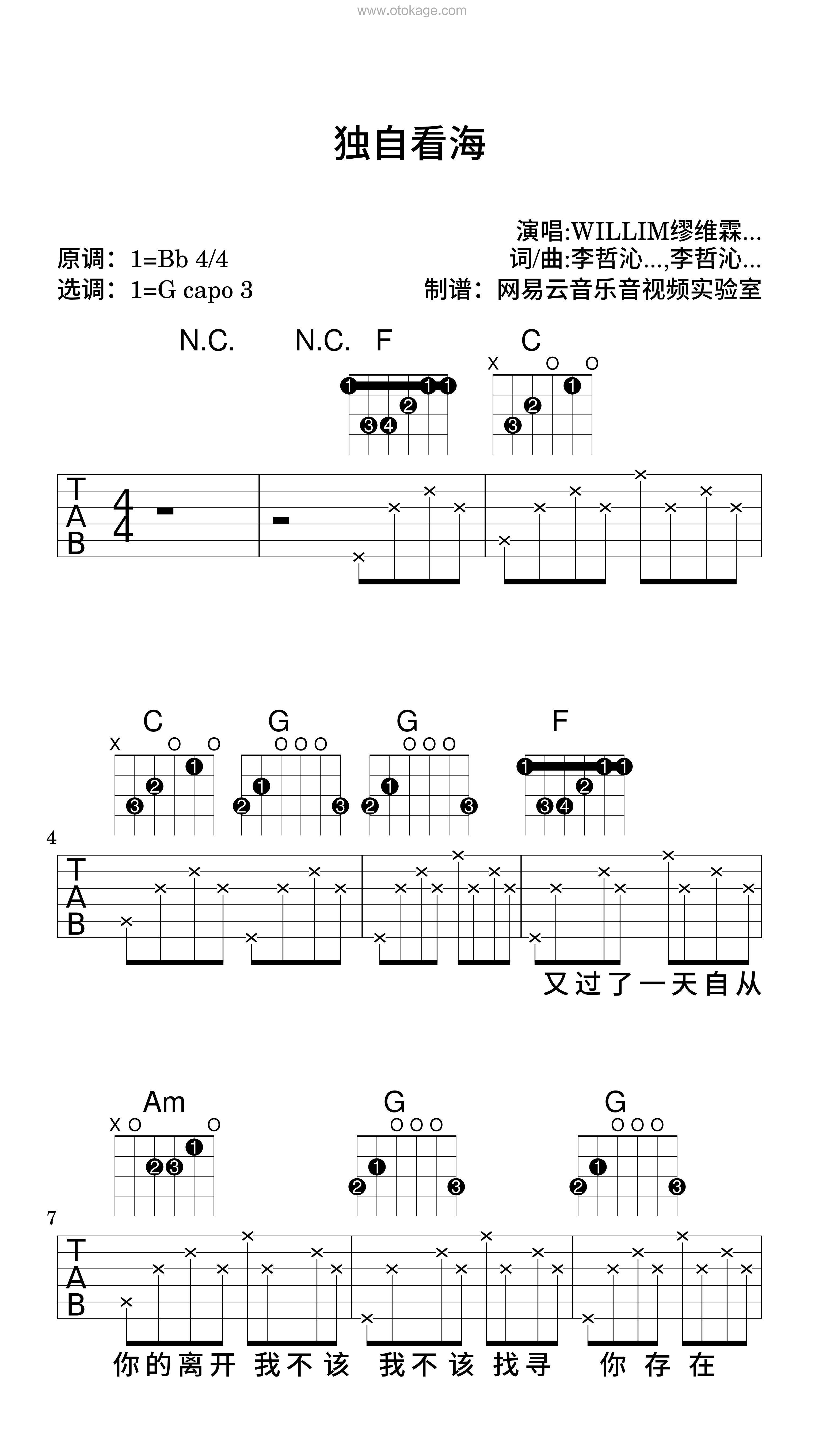 WILLIM缪维霖,叶琼琳《独自看海吉他谱》降B调_音符与情感共鸣