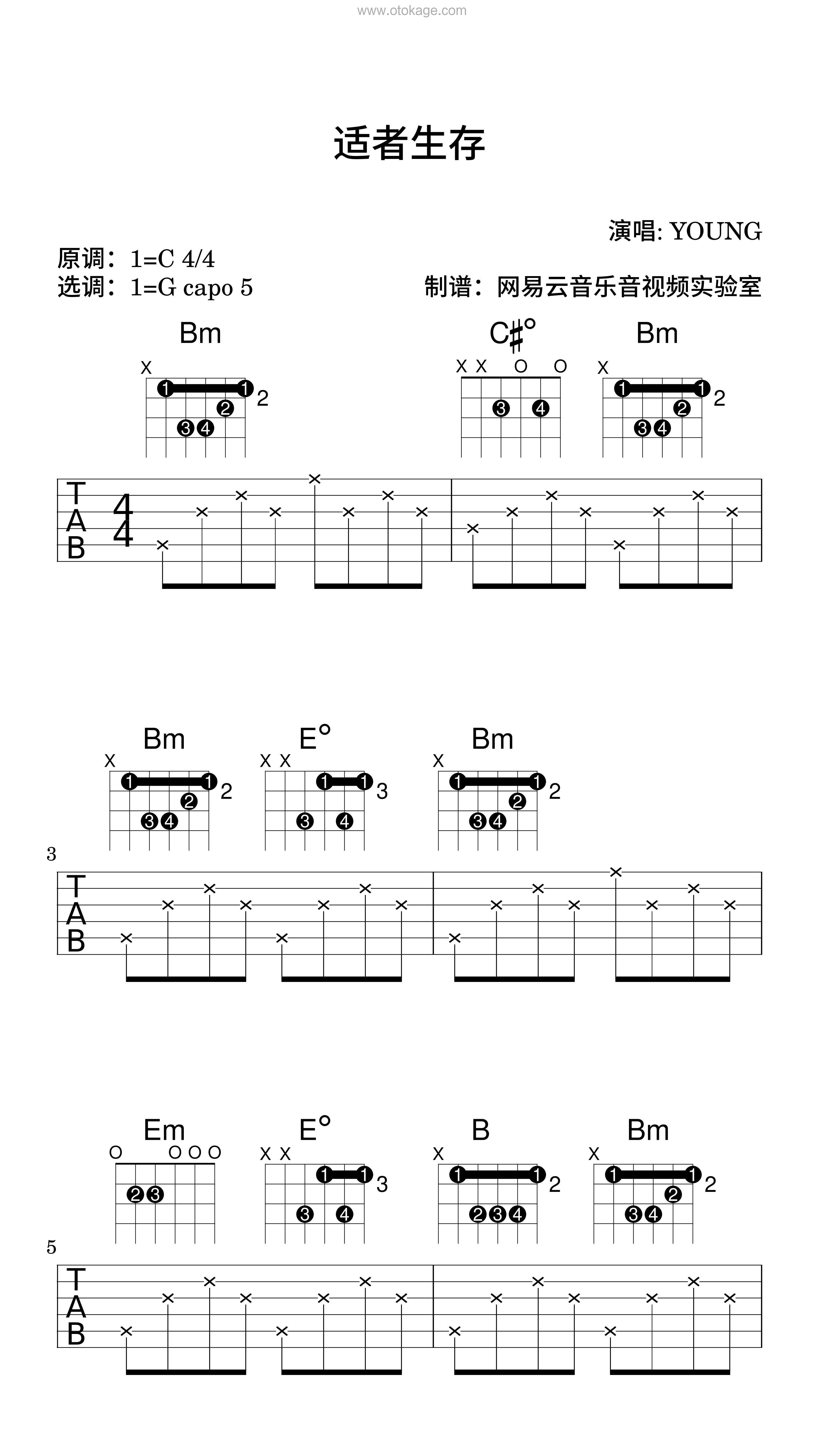 YOUNG《适者生存吉他谱》C调_旋律深情流畅
