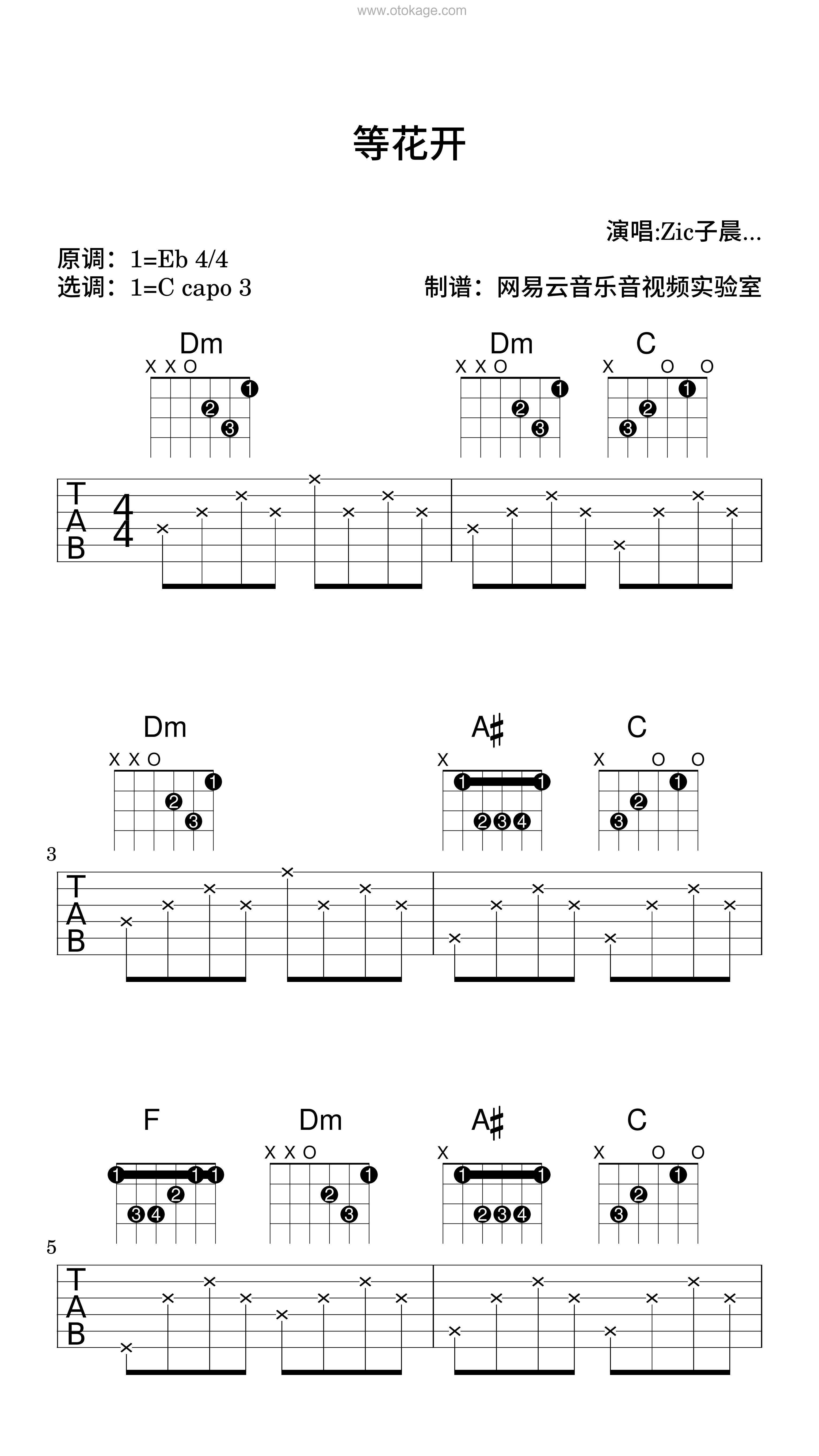 Zic子晨《等花开吉他谱》降E调_完美平衡的音调