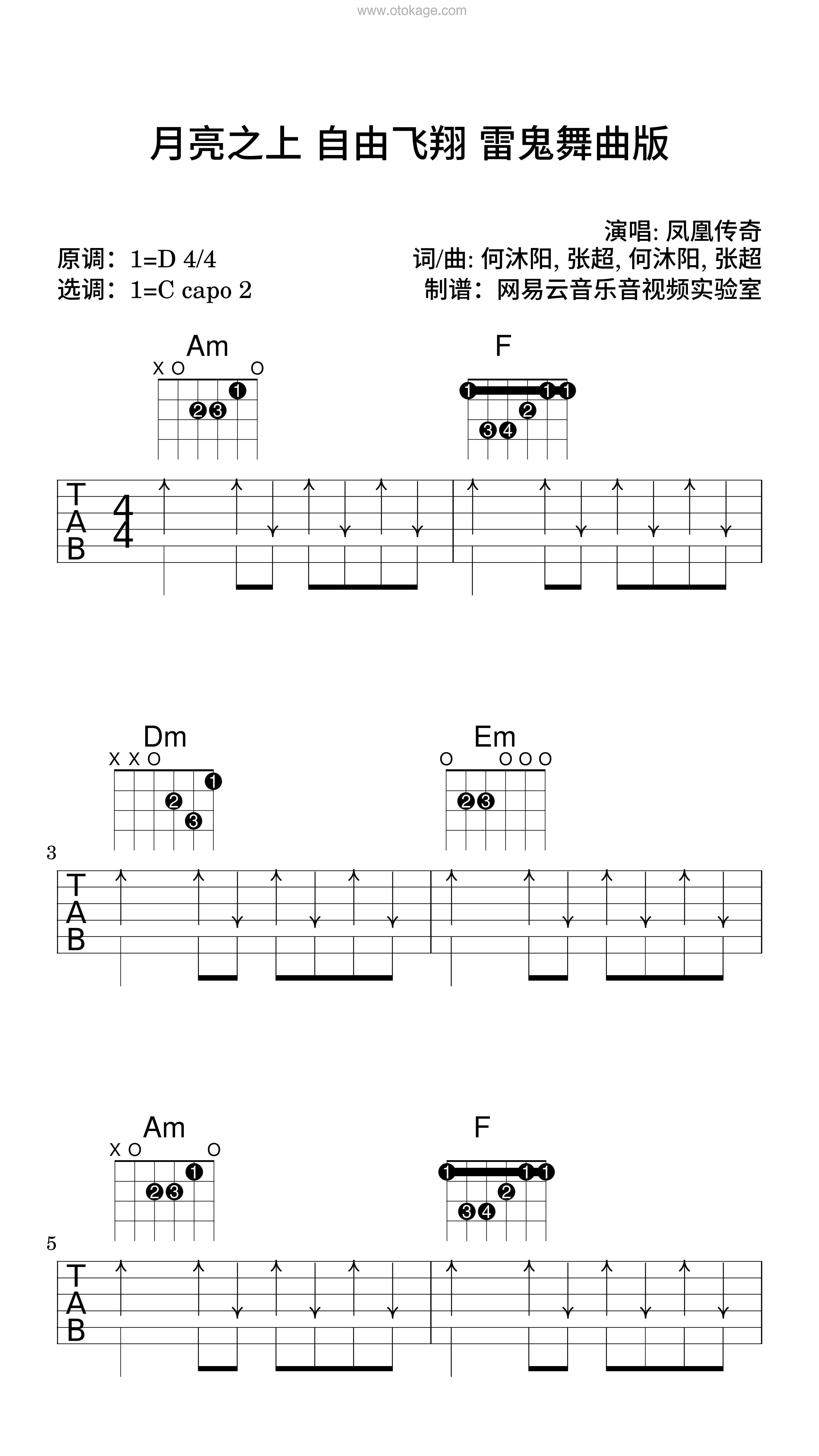 凤凰传奇《月亮之上 自由飞翔 雷鬼舞曲版吉他谱》D调_旋律沁人心脾