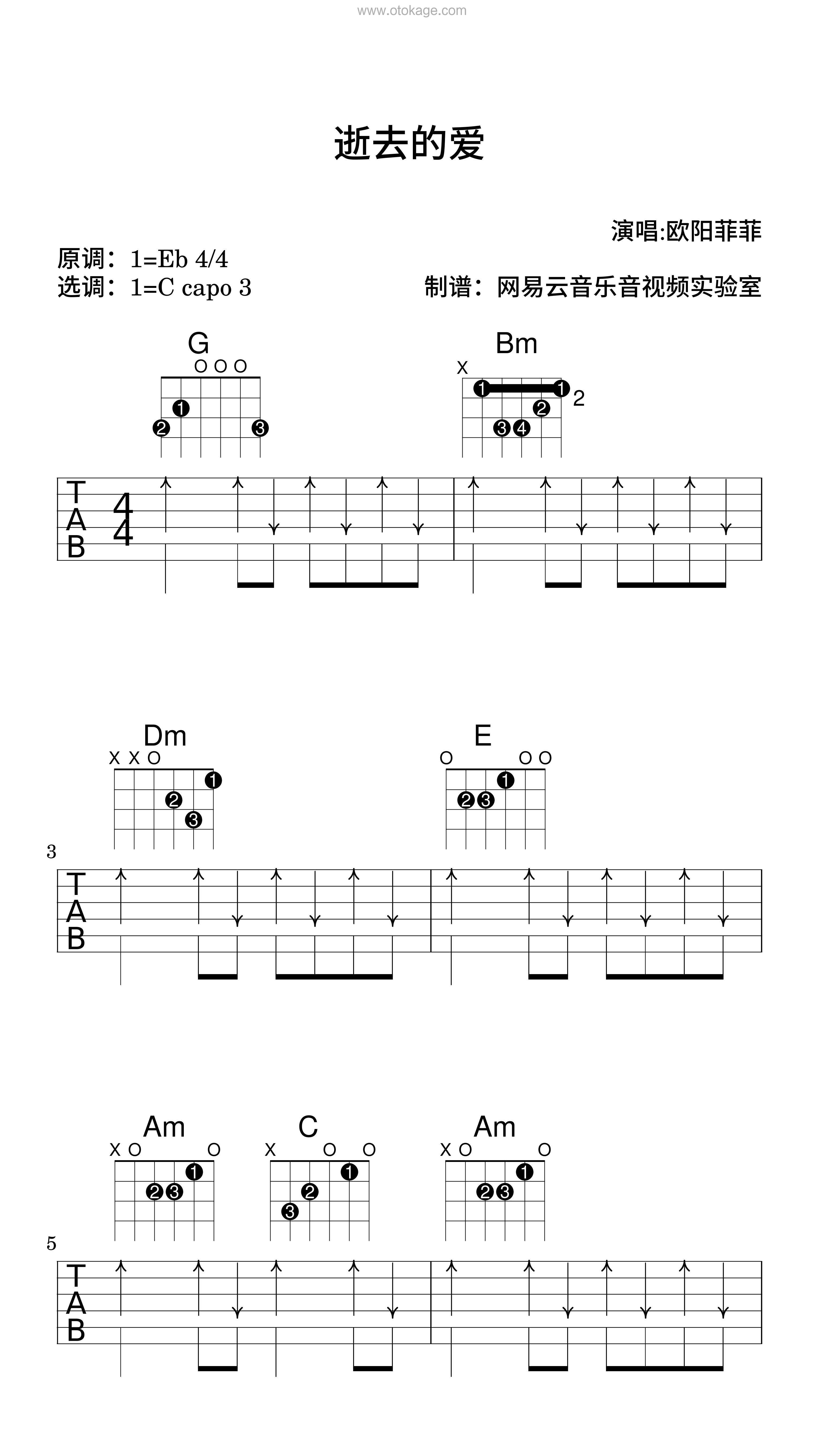 欧阳菲菲《逝去的爱吉他谱》降E调_完美节奏编排