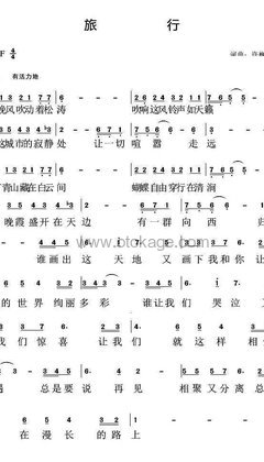 许巍《旅行人声谱》升F调_完美平衡的音色