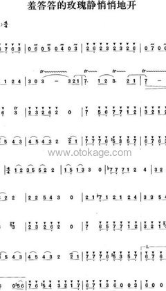 孟庭苇《羞答答的玫瑰静悄悄地开二胡谱》A调_音符纯净如水