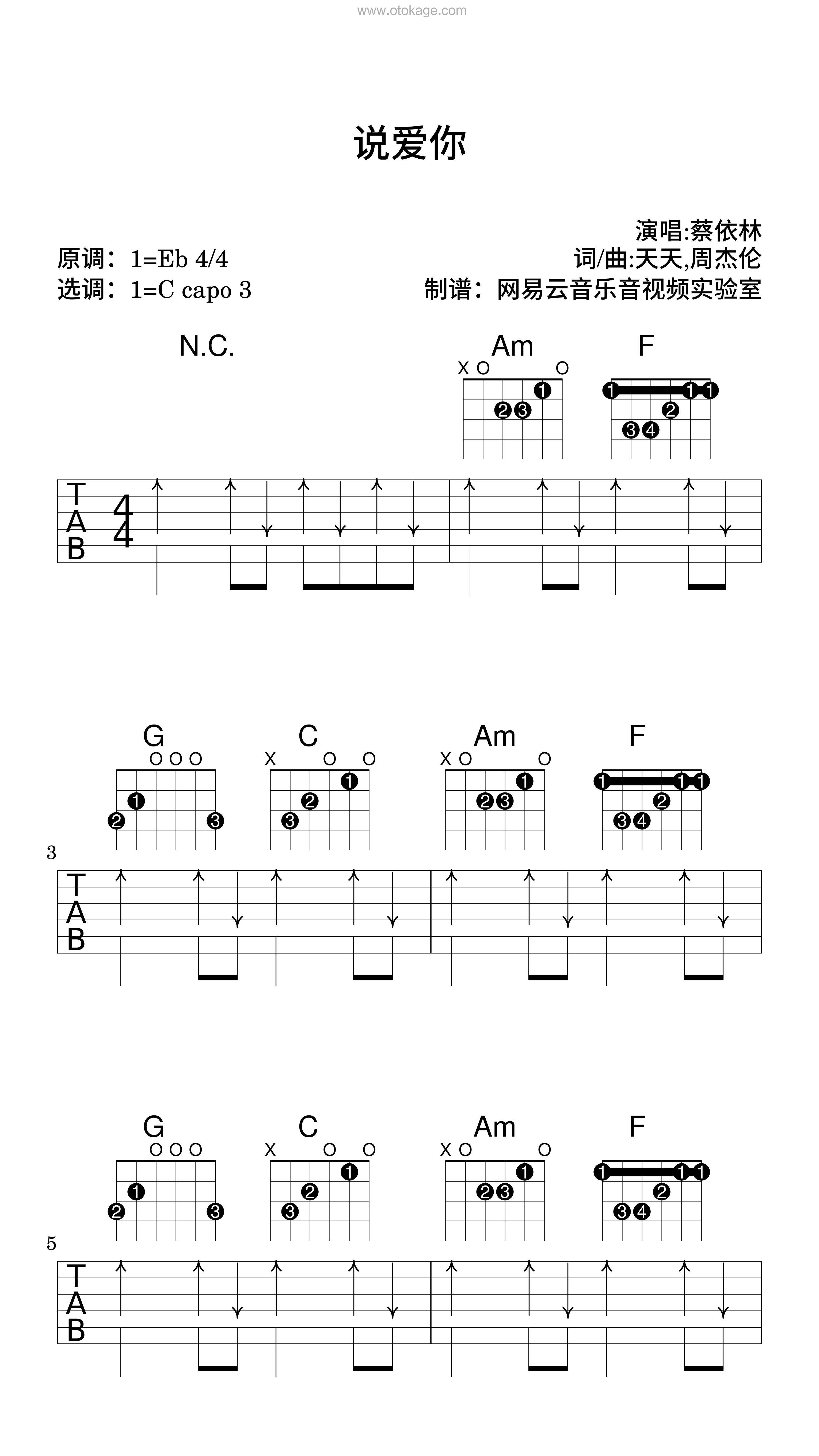 蔡依林《说爱你吉他谱》降E调_完美的音乐表达