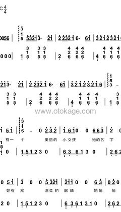 黄品源《小薇钢琴谱》C调_音符与情感共鸣