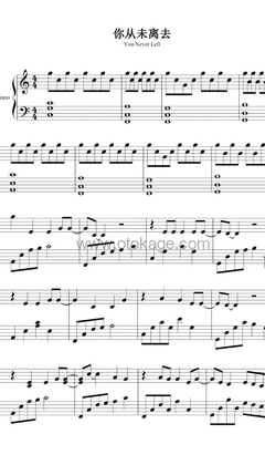 白挺《你从未离去钢琴谱》C调_编曲充满温情