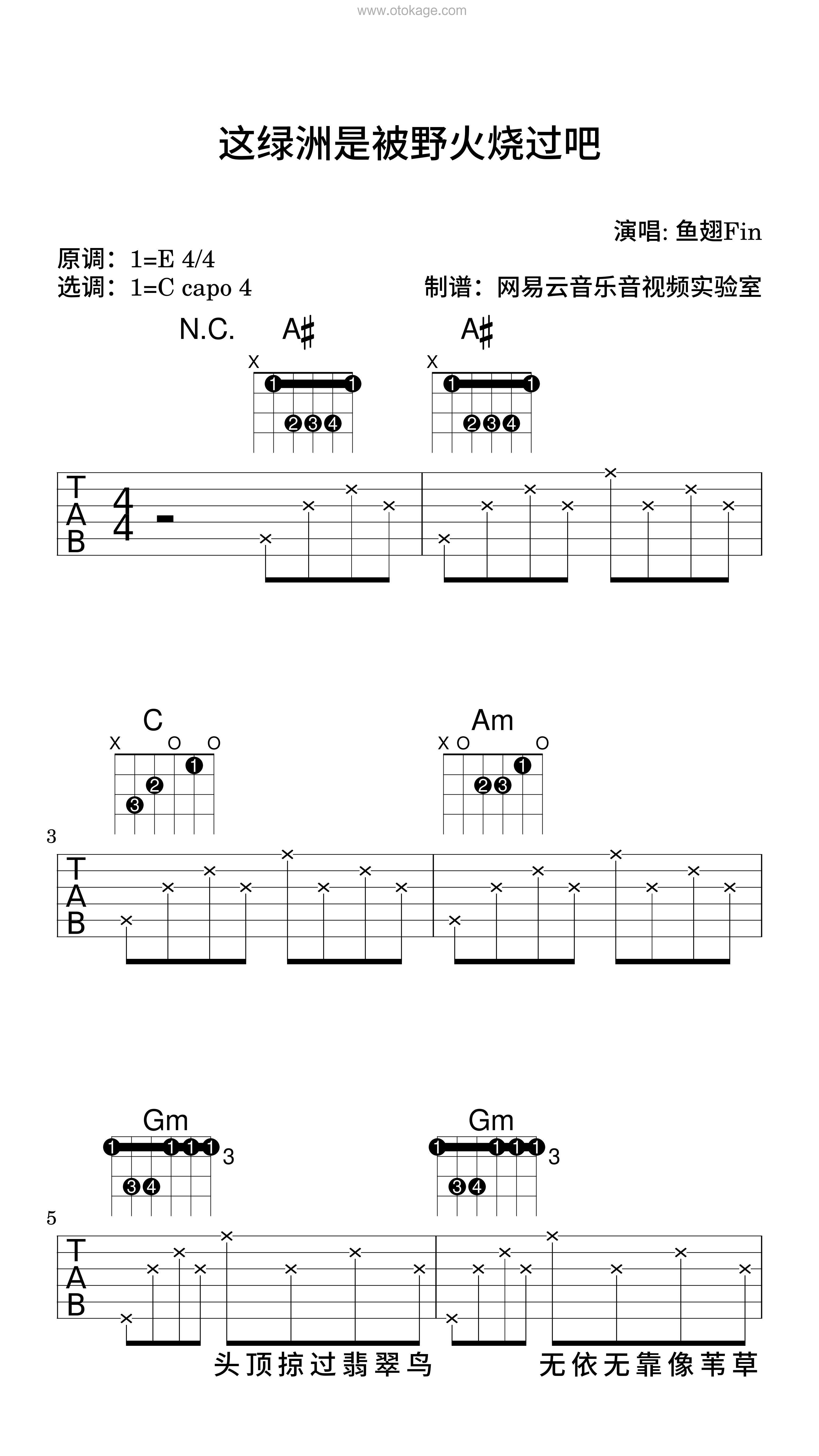 鱼翅Fin《这绿洲是被野火烧过吧吉他谱》E调_编排美轮美奂