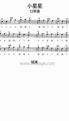 贝乐虎《小星星其他谱》C调_音乐沁人心扉