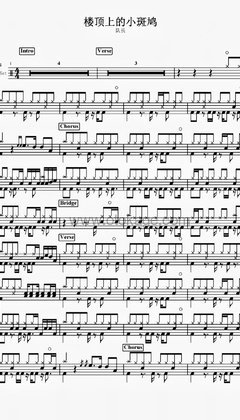队长《楼顶上的小斑鸠打击乐谱》C调_悠扬婉转的旋律