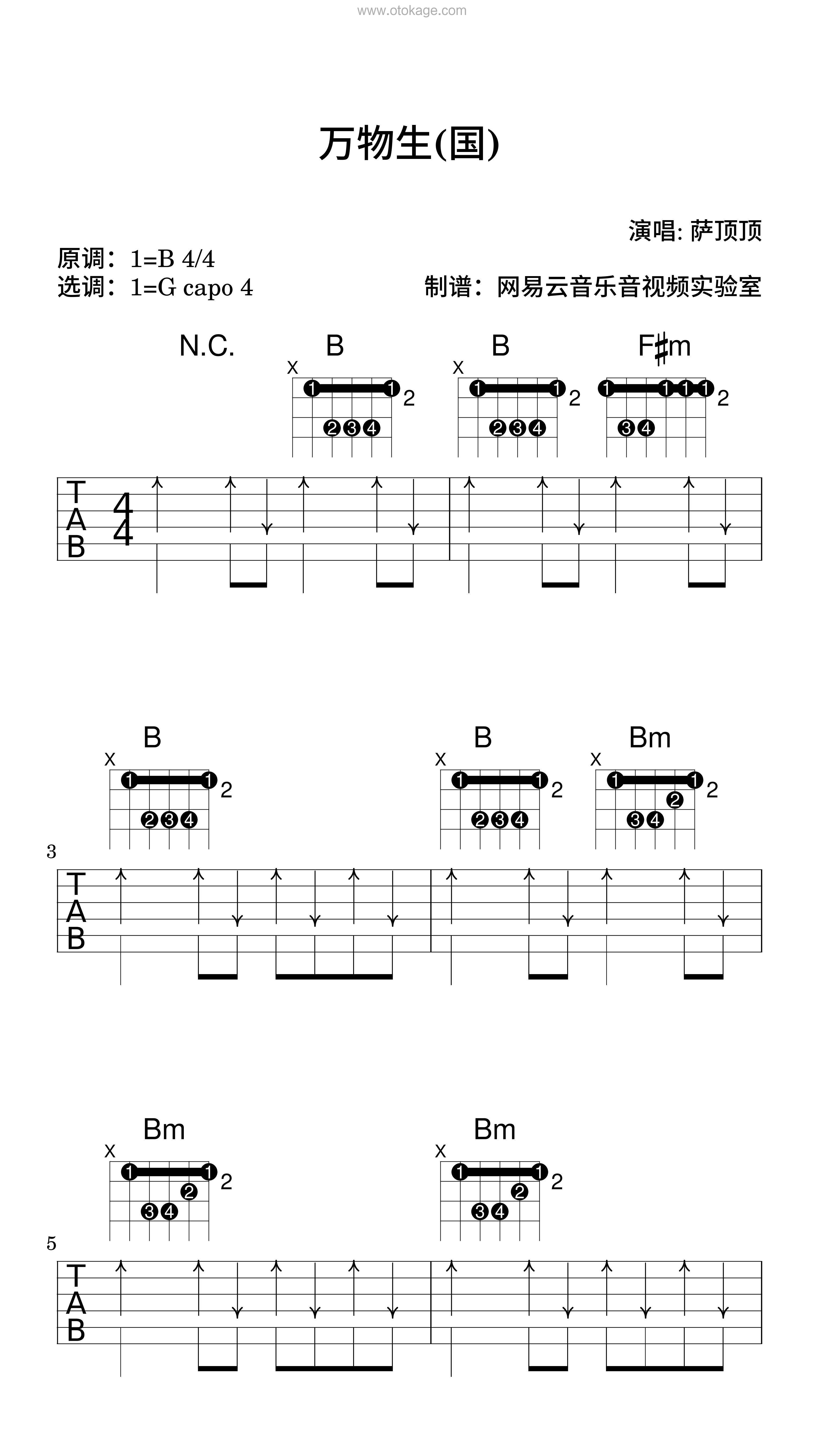 萨顶顶《万物生(国)吉他谱》B调_细腻感人的演奏